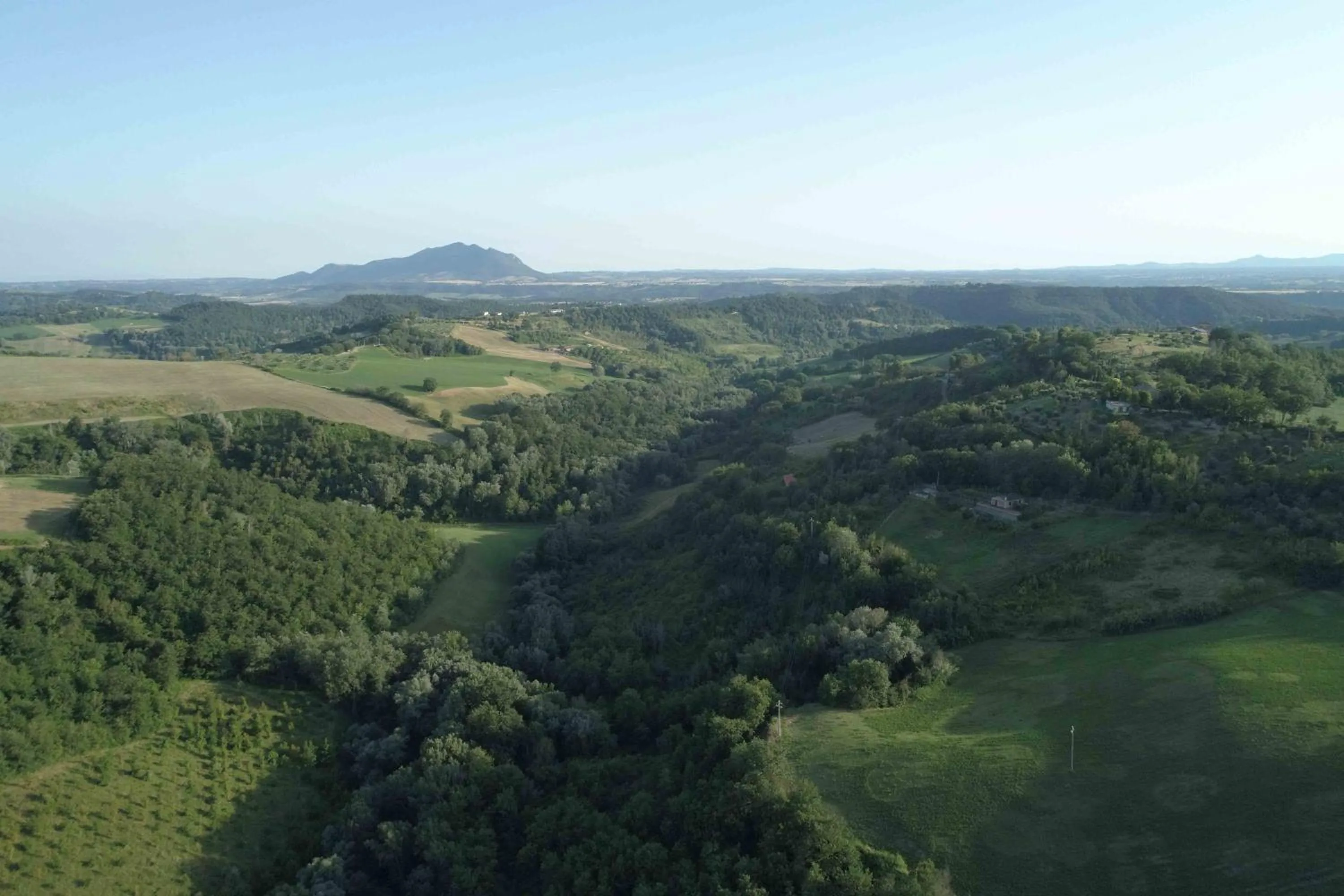 Spring in Corte Buenavista