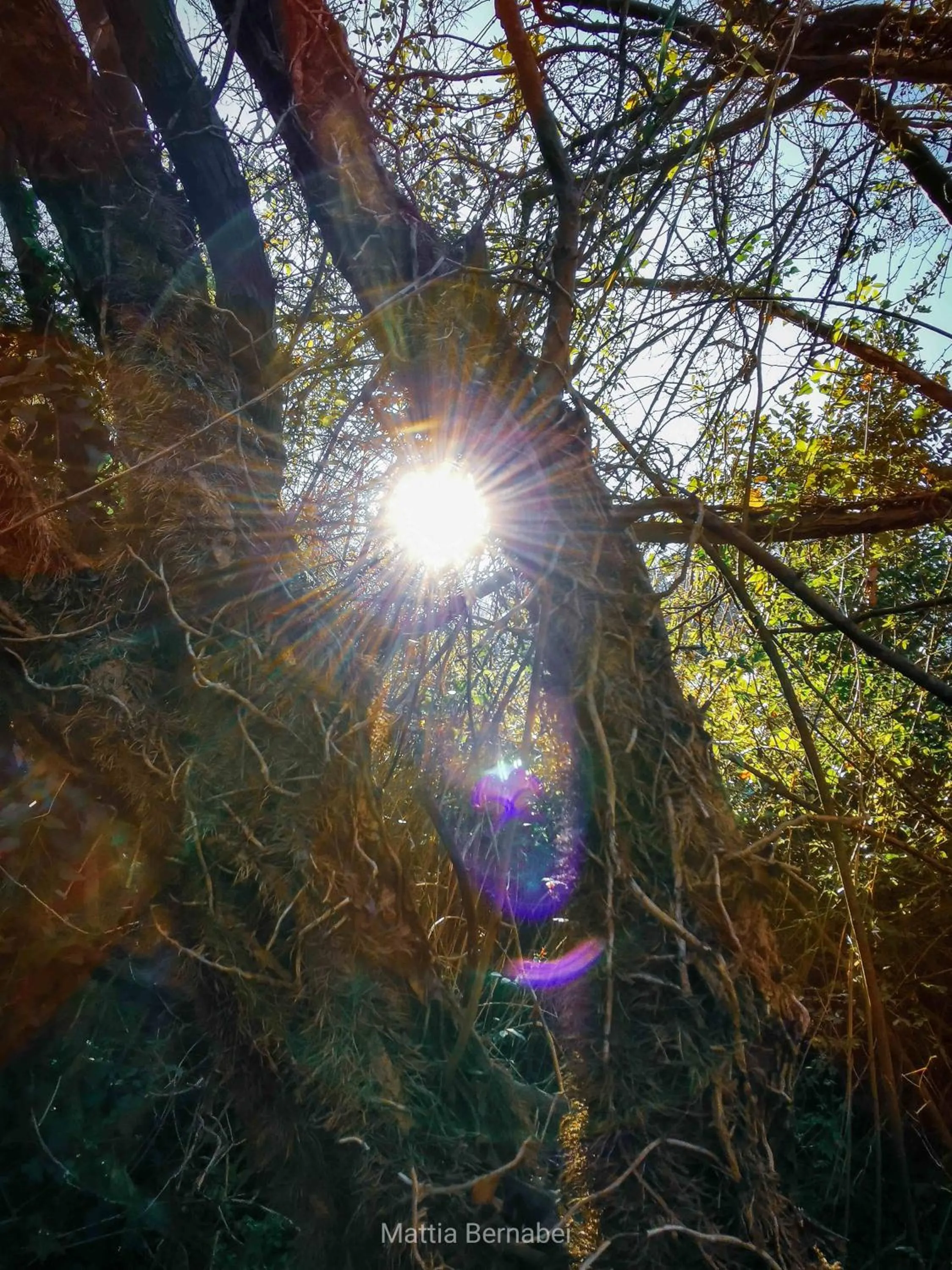 Natural landscape in Corte Buenavista