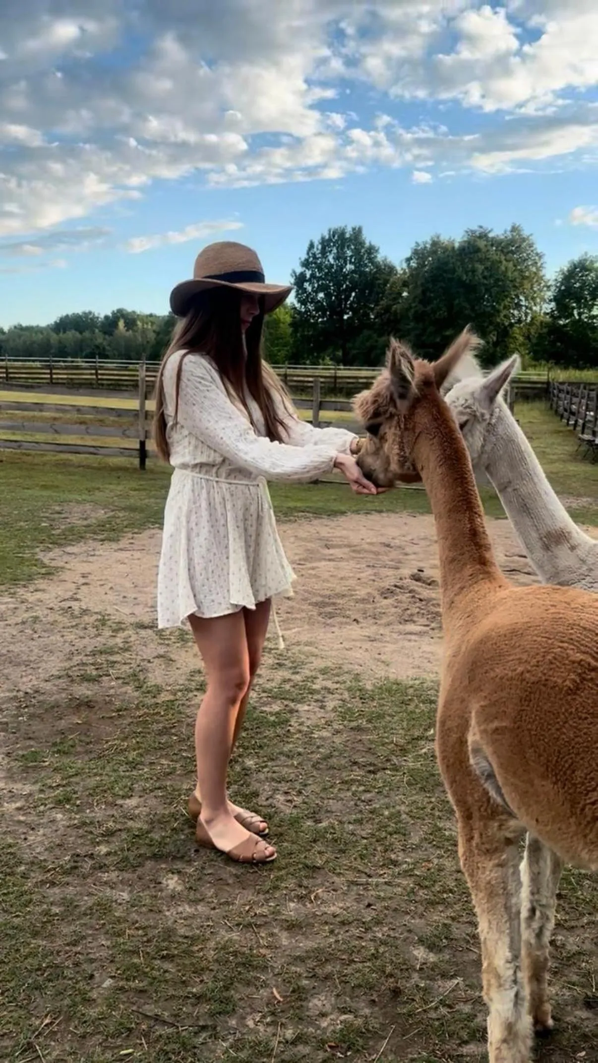 Wypoczynek pod Lipami