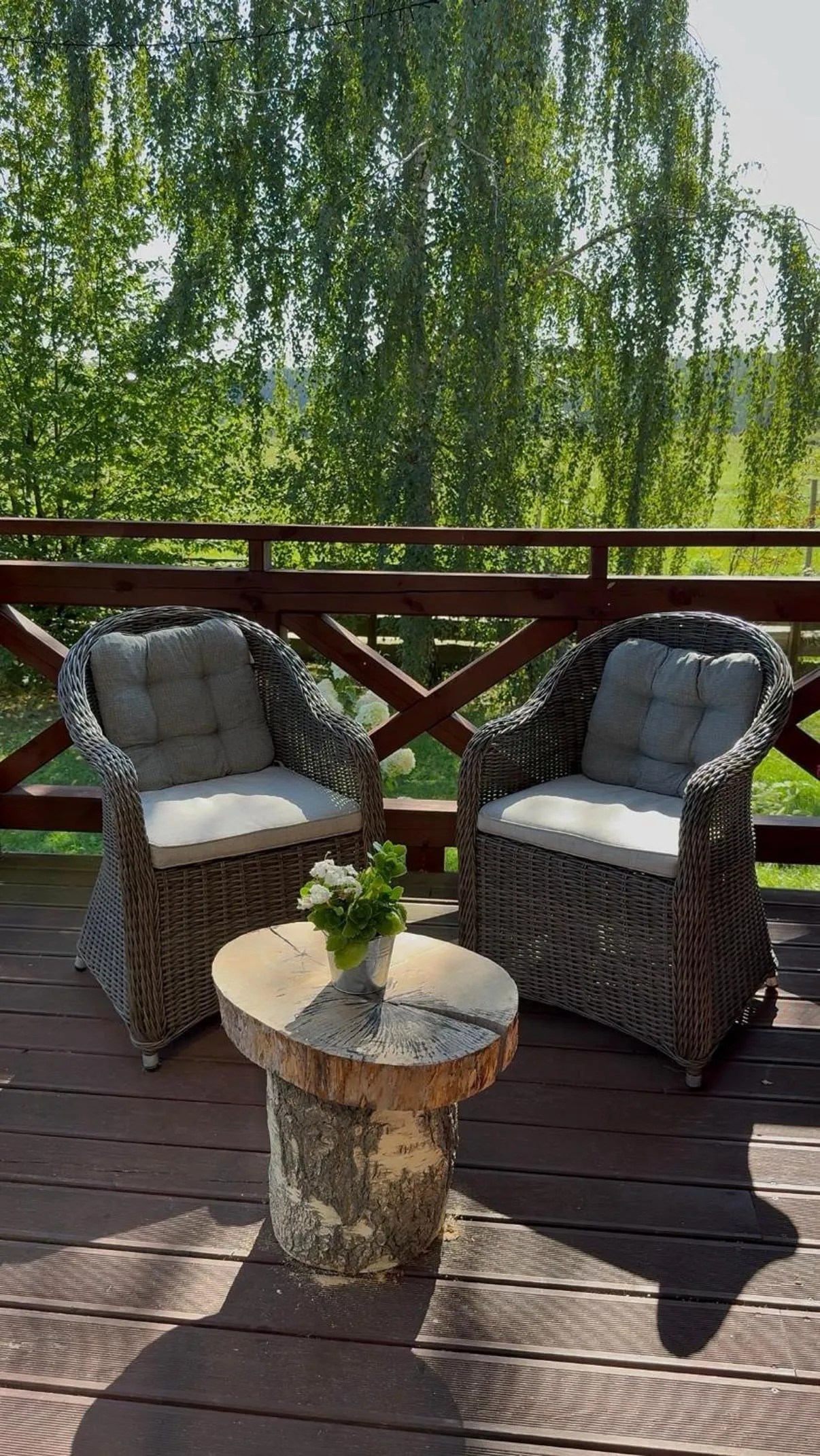 Wypoczynek pod Lipami