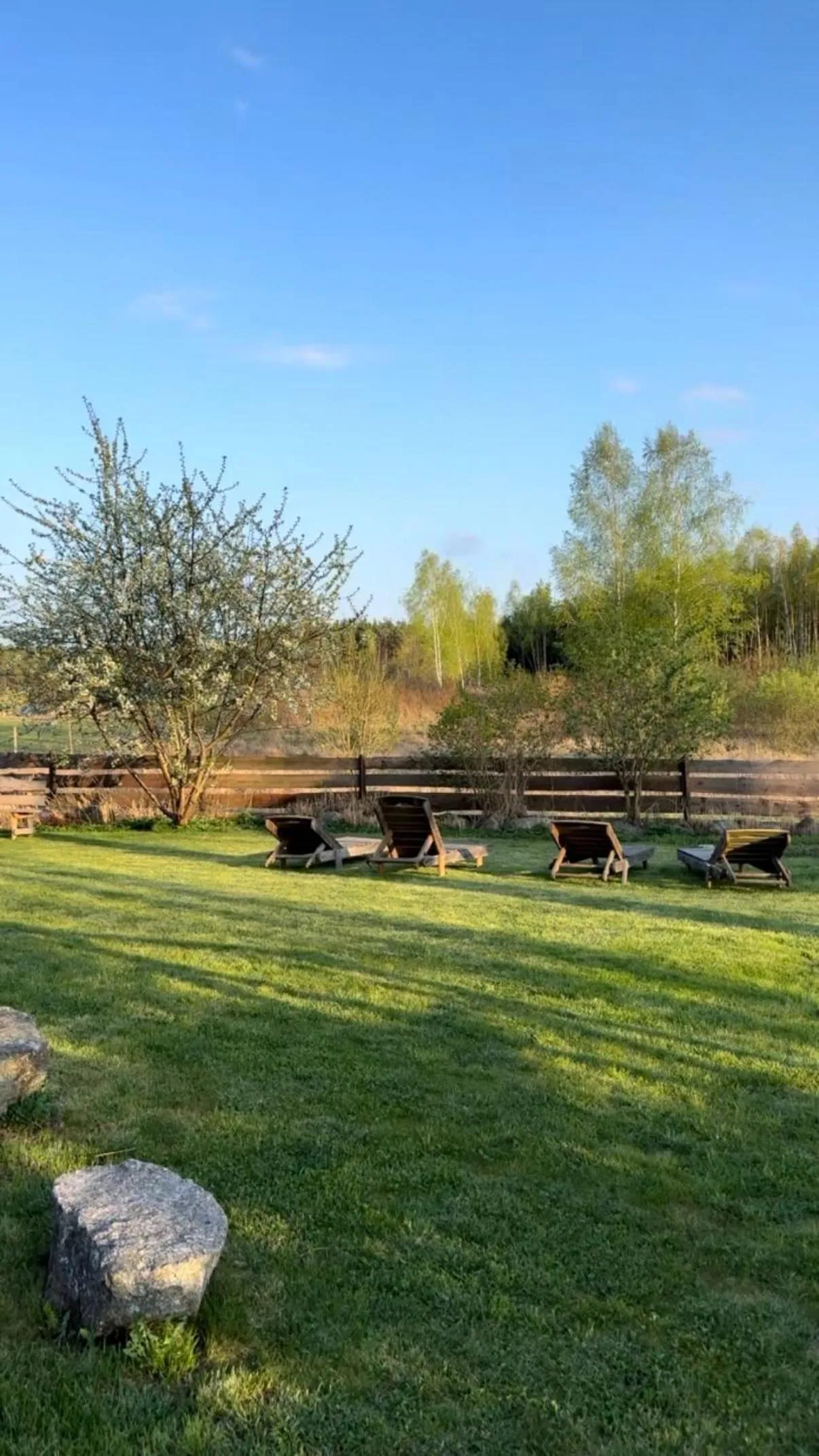 Wypoczynek pod Lipami