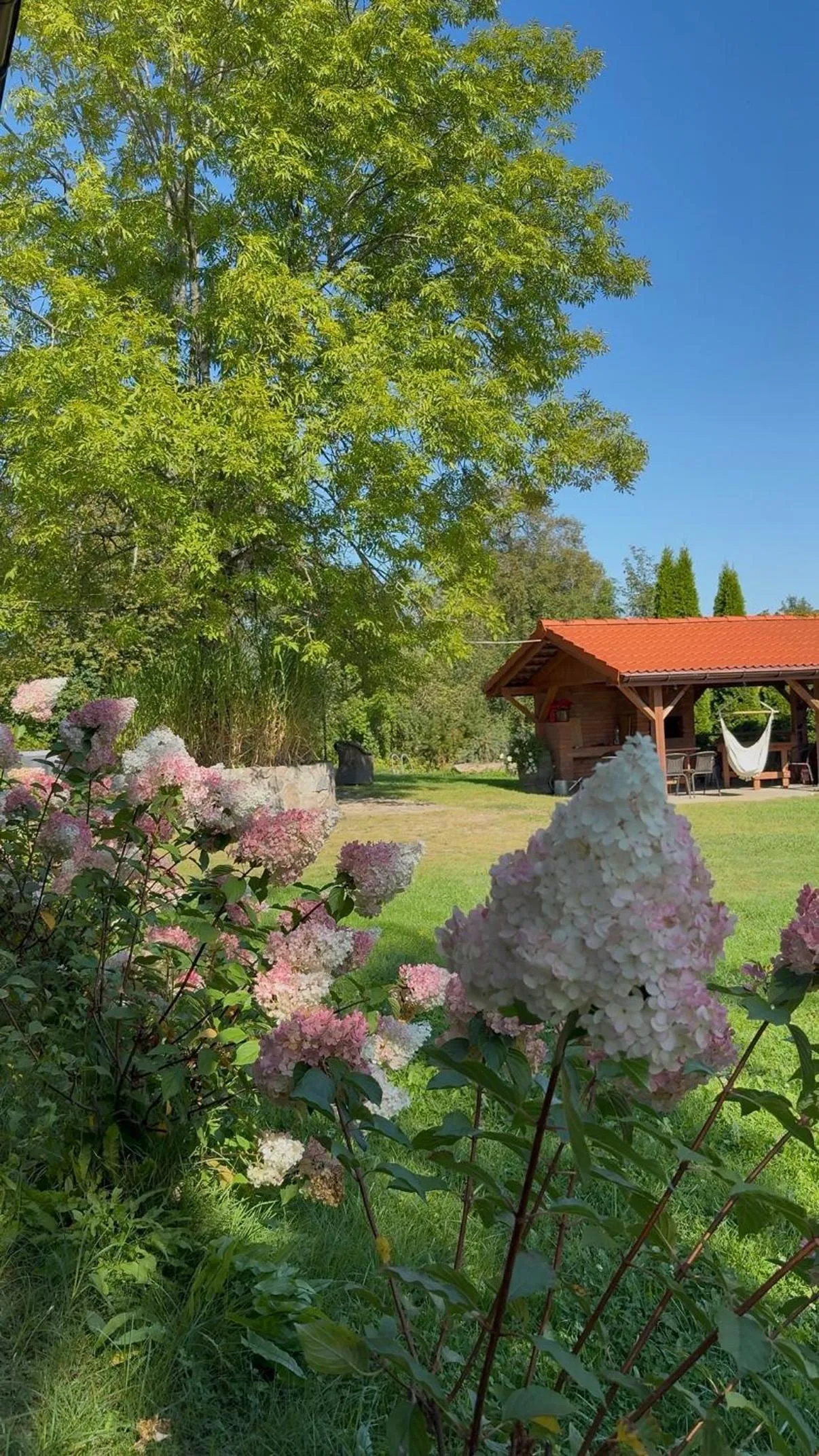 Wypoczynek pod Lipami