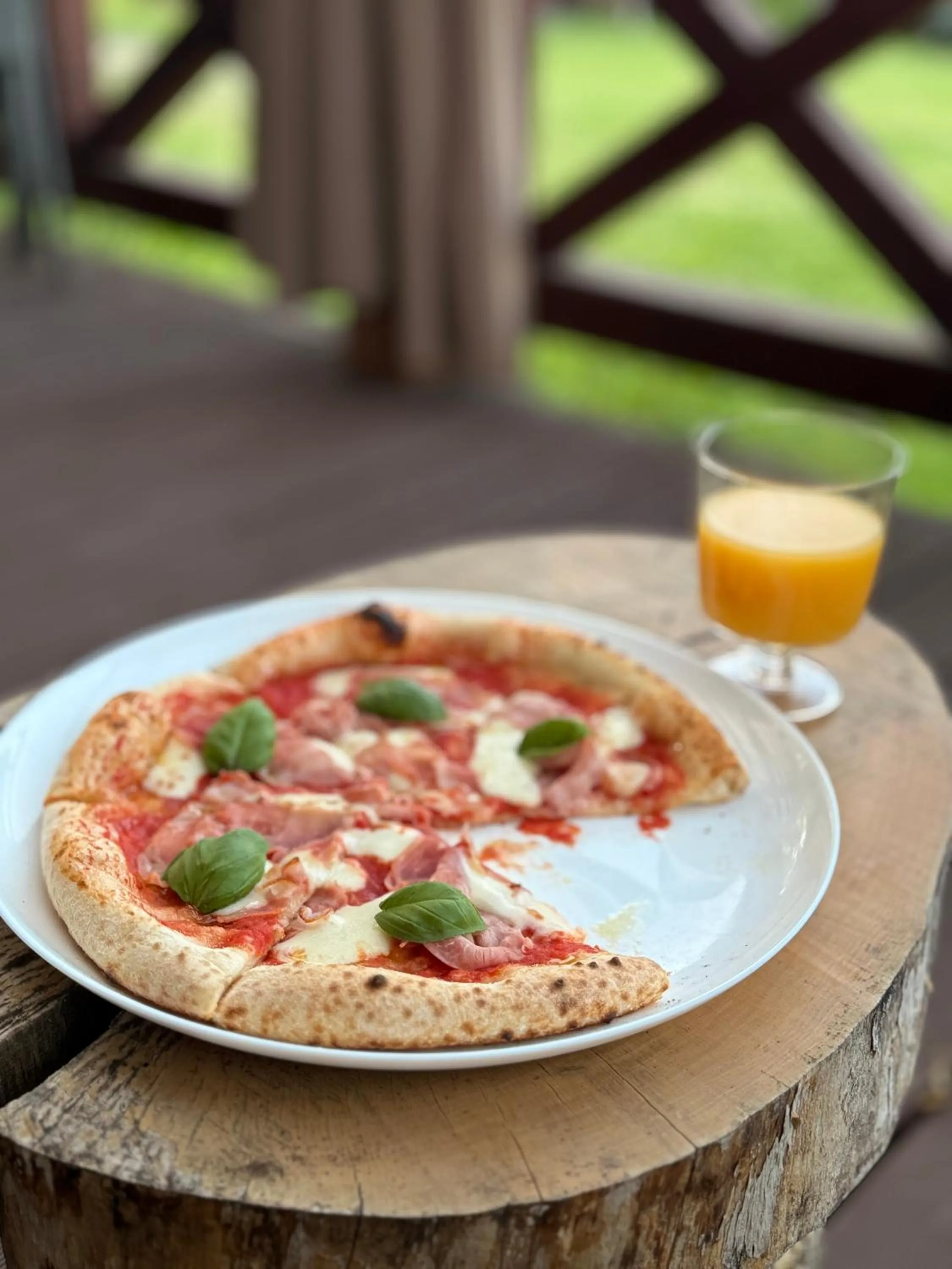 Wypoczynek pod Lipami