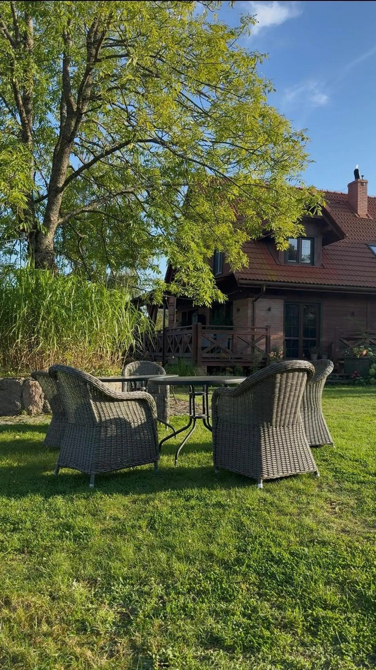 Wypoczynek pod Lipami