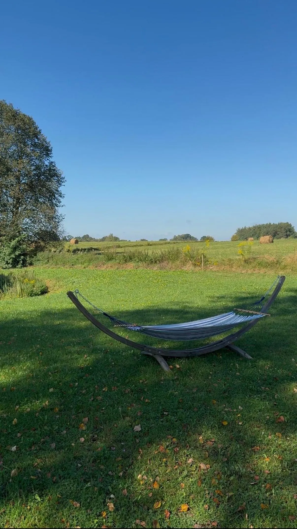 Wypoczynek pod Lipami