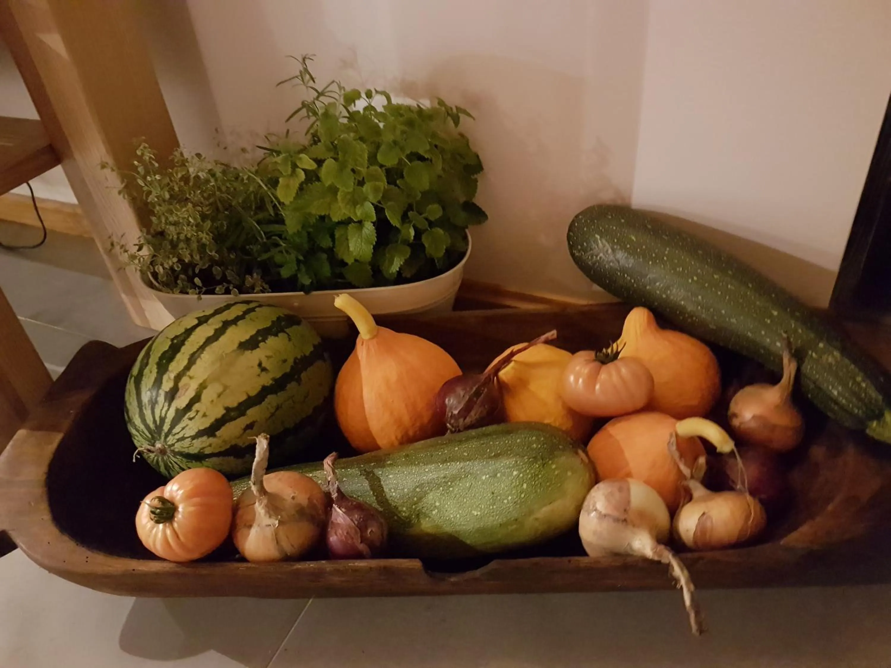 Wypoczynek pod Lipami