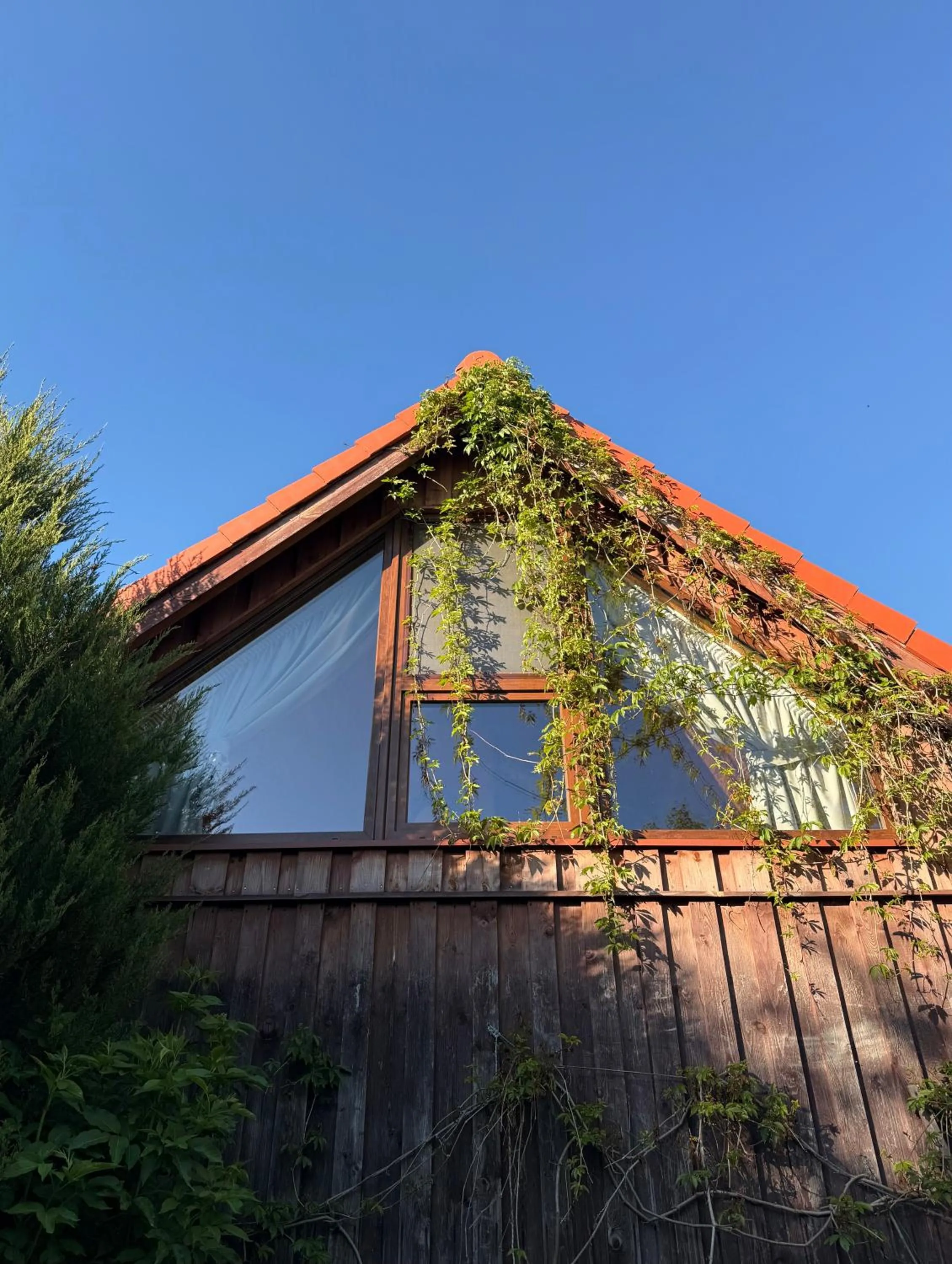 Wypoczynek pod Lipami