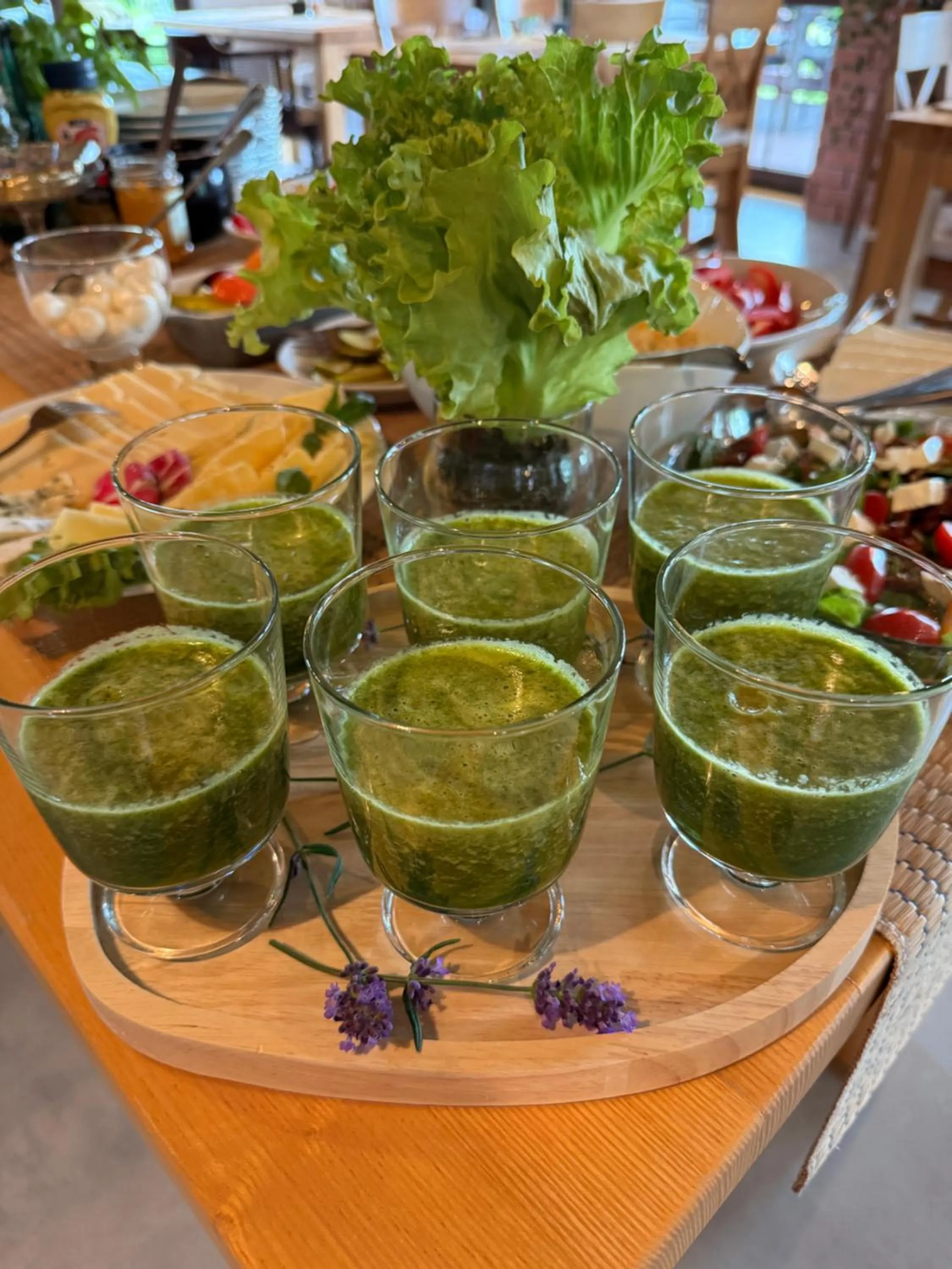 Wypoczynek pod Lipami