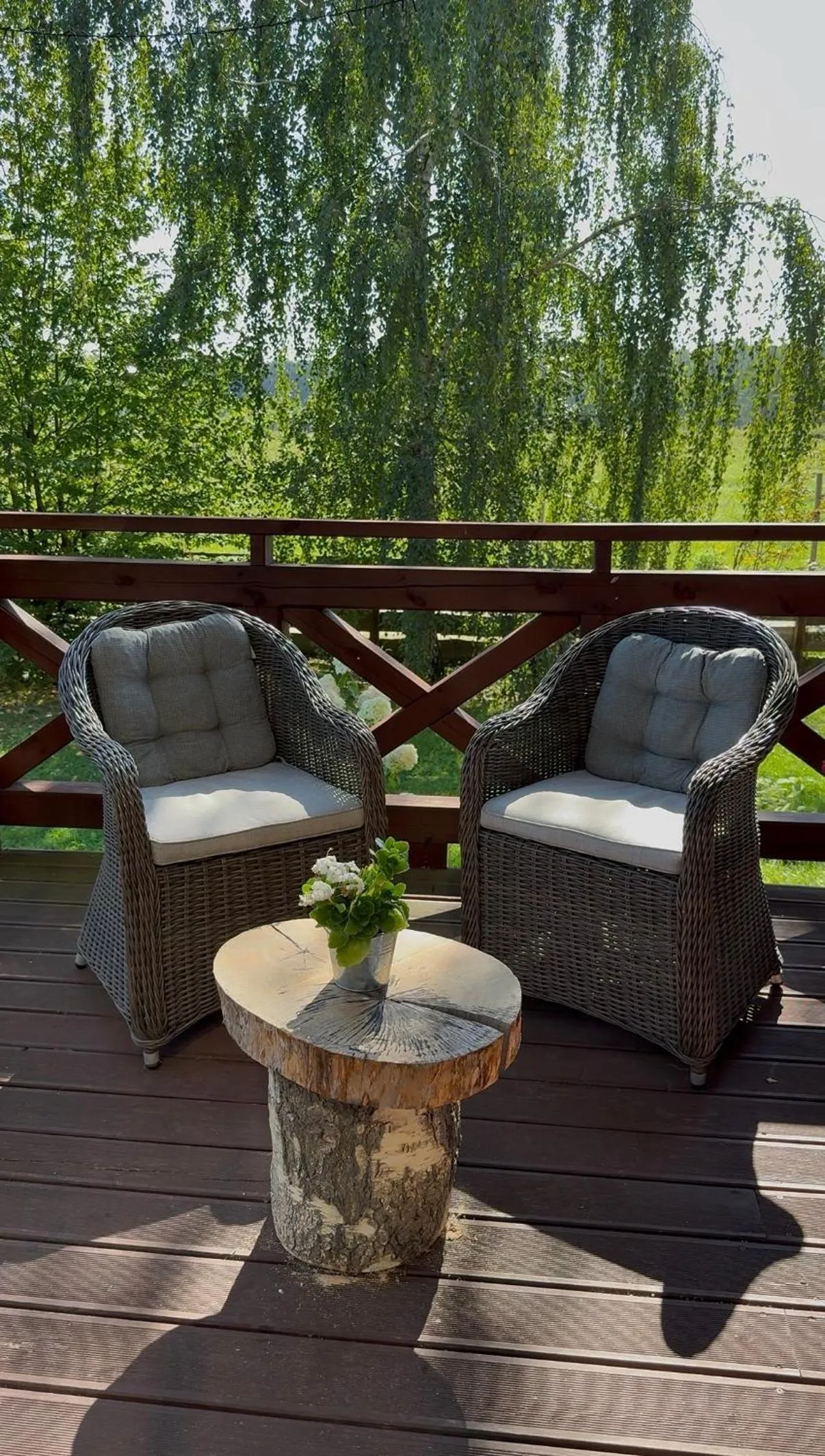 Wypoczynek pod Lipami