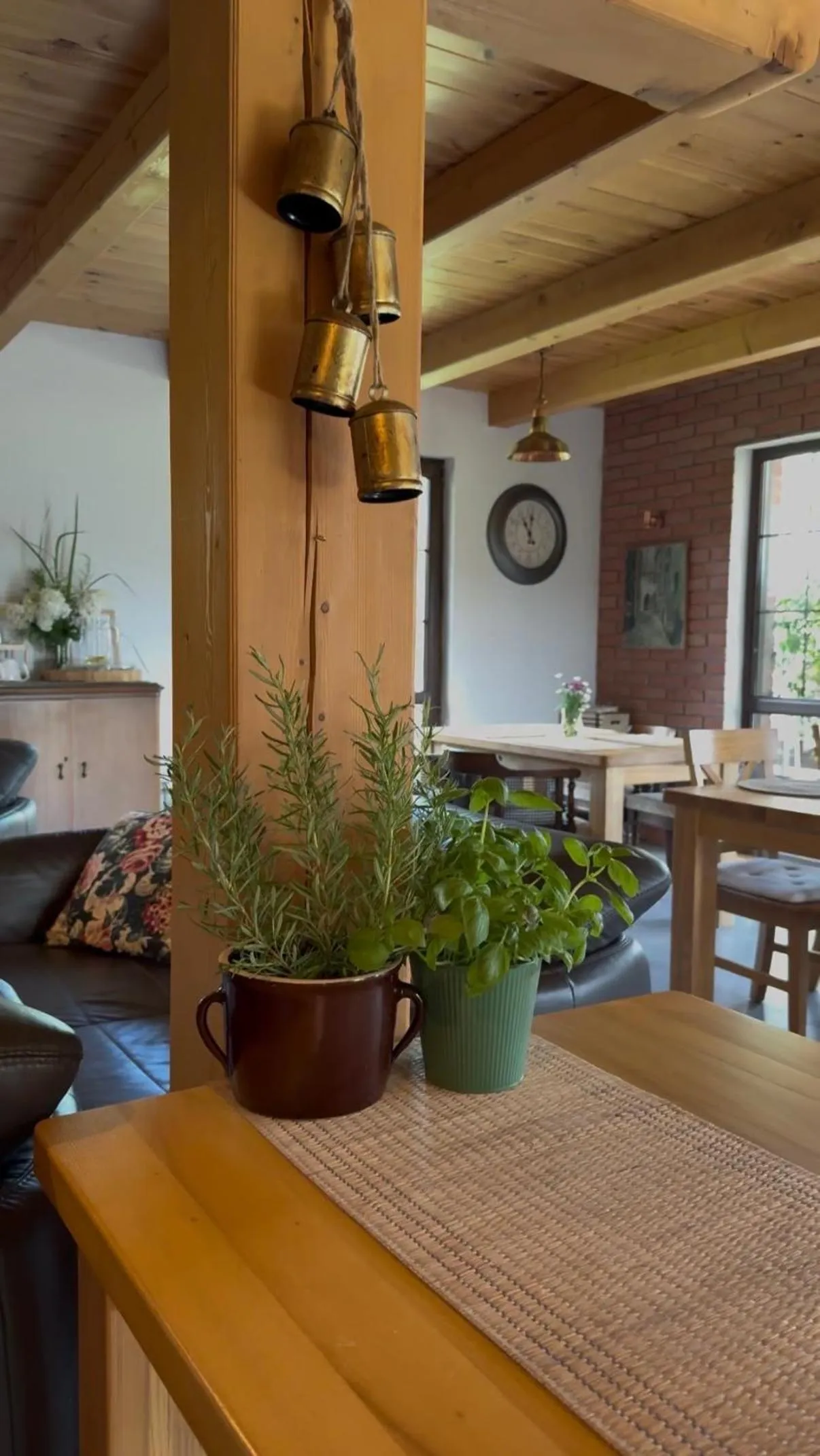 Wypoczynek pod Lipami