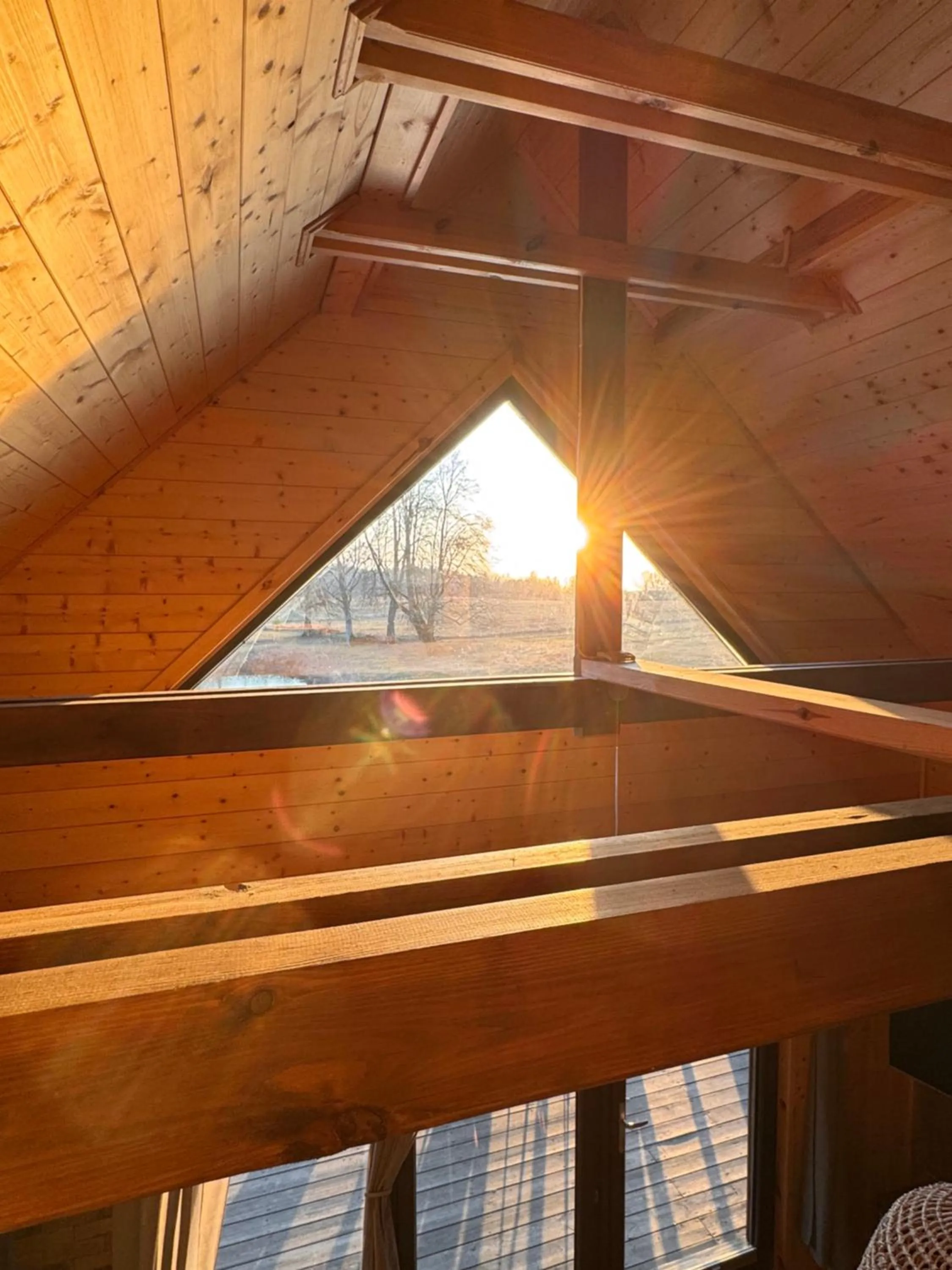 Wypoczynek pod Lipami