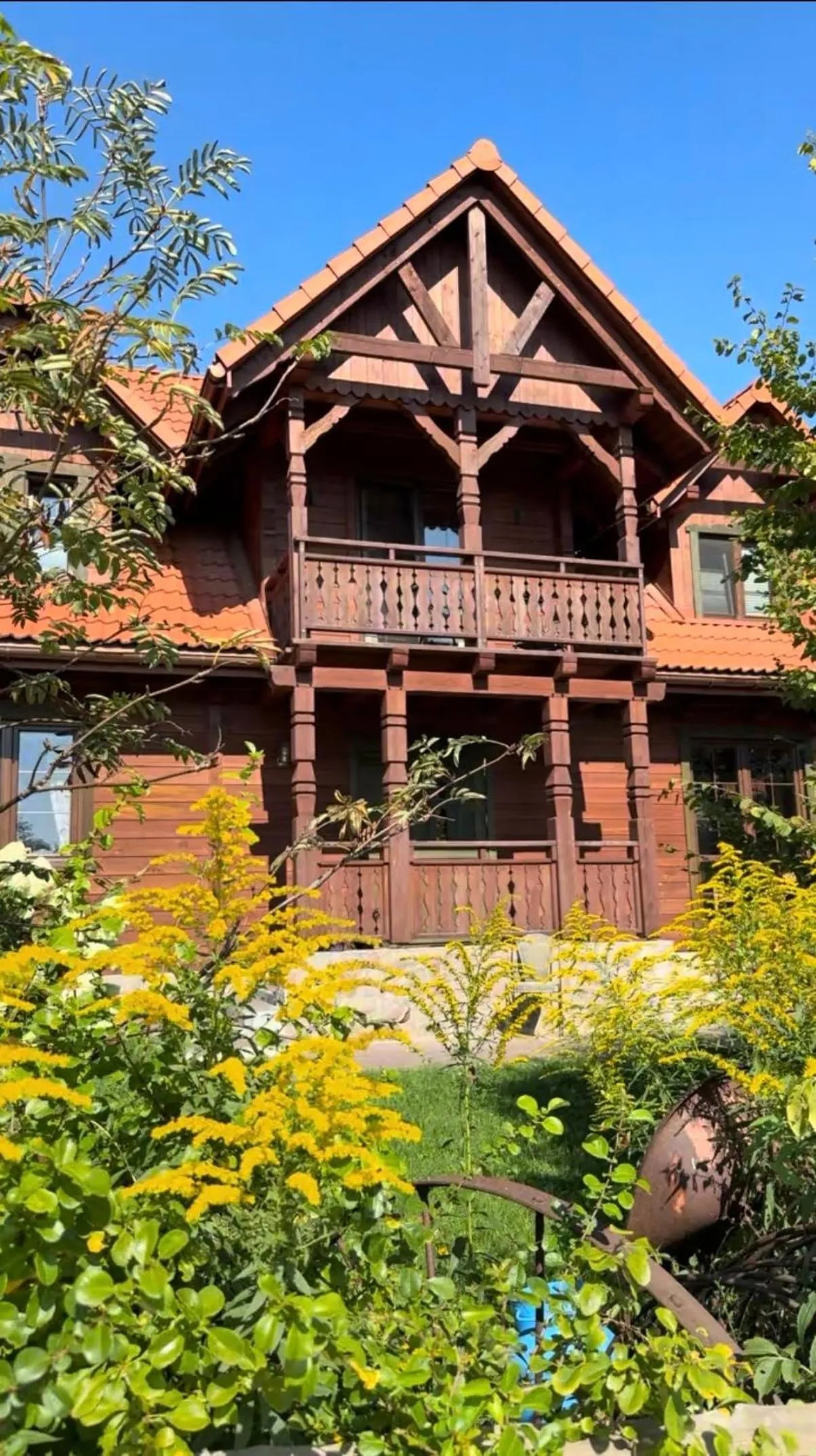 Wypoczynek pod Lipami