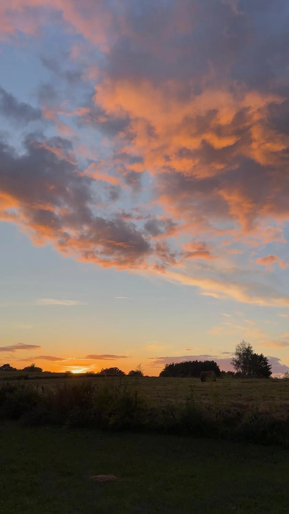 Wypoczynek pod Lipami