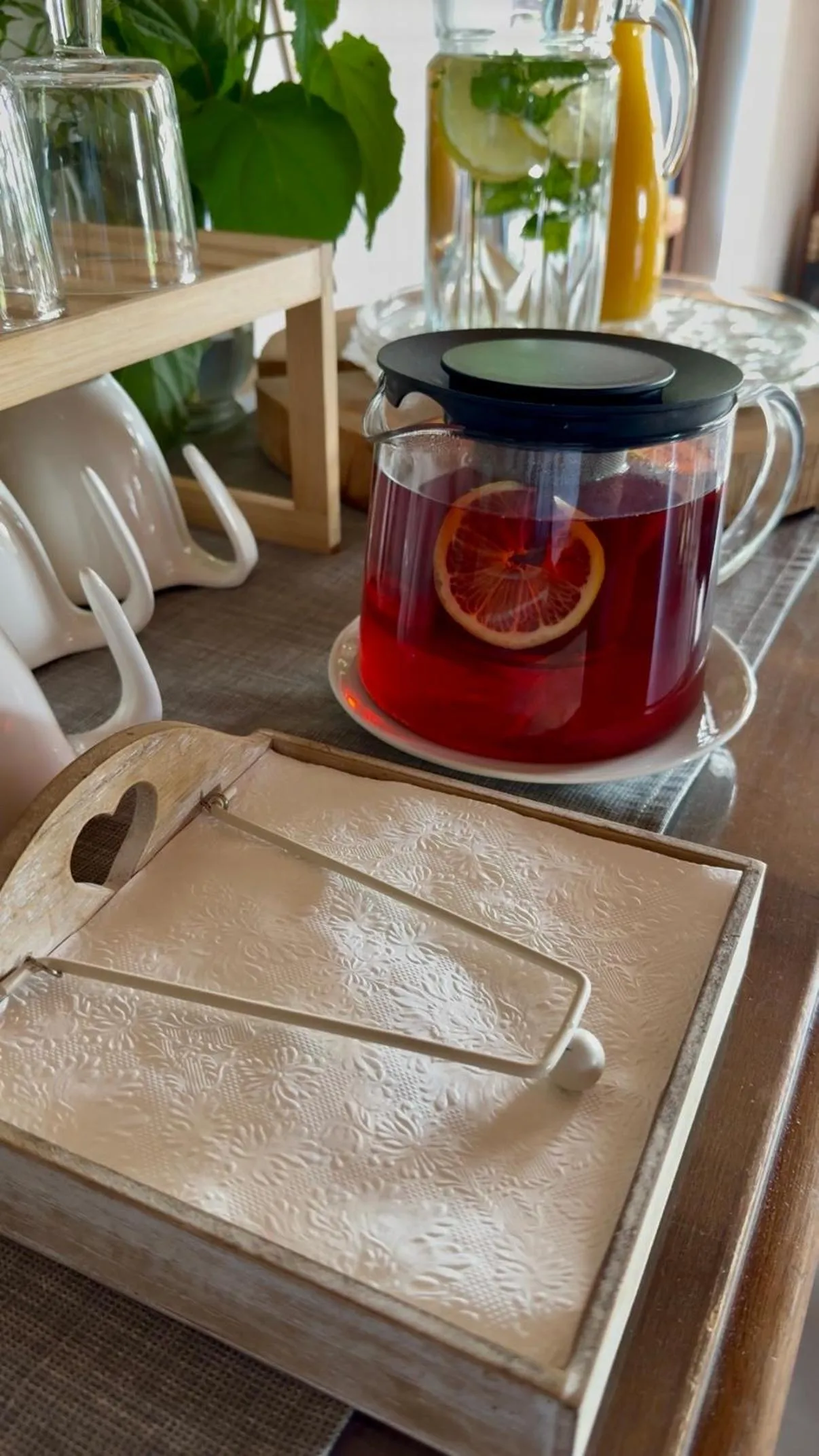 Wypoczynek pod Lipami