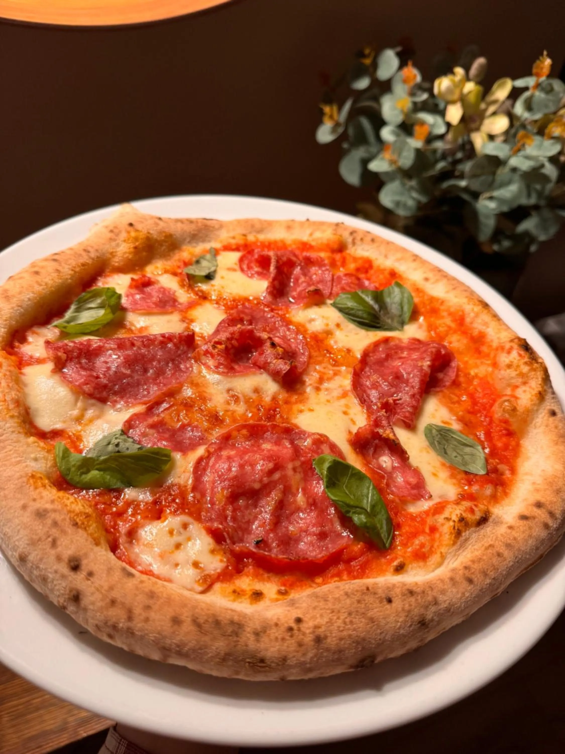 Wypoczynek pod Lipami