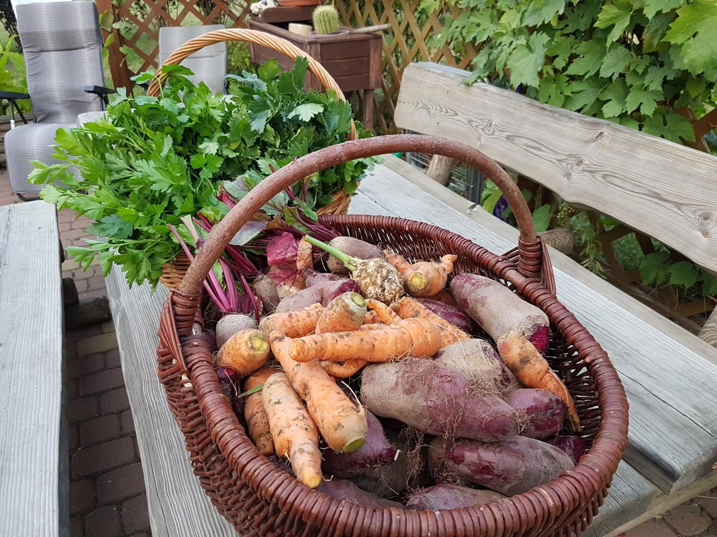 Wypoczynek pod Lipami