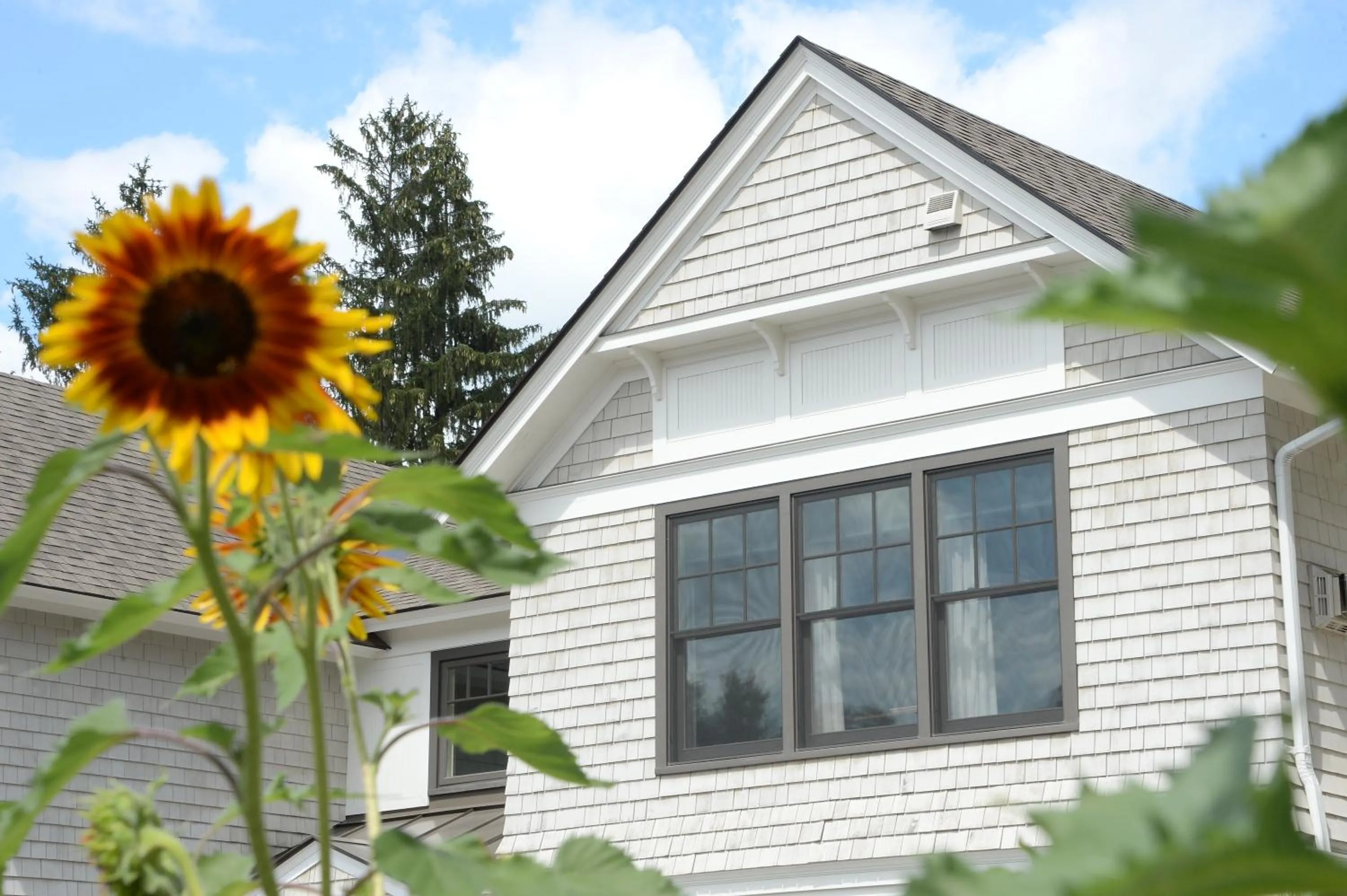 Property building in The Springwater Bed and Breakfast