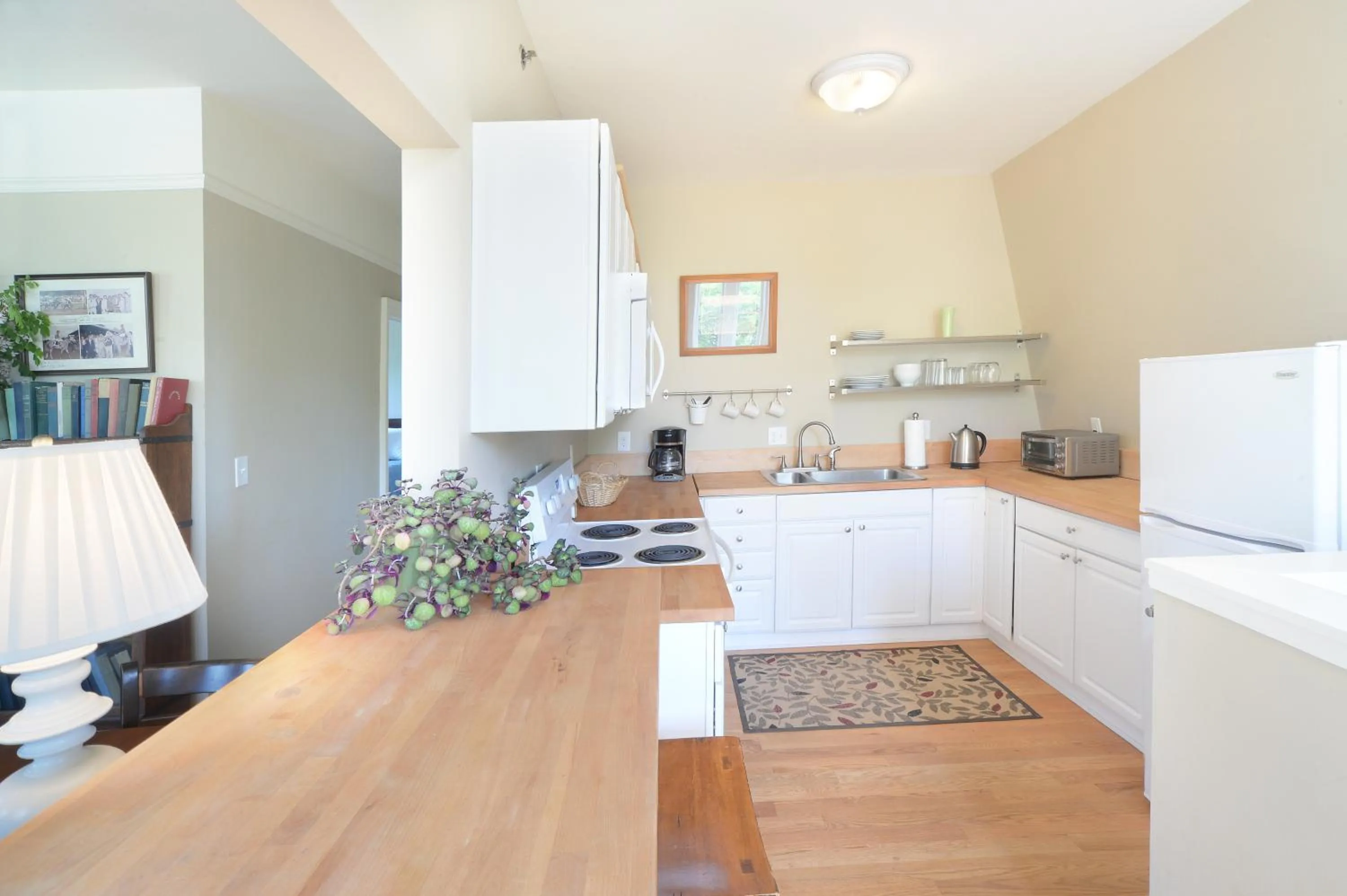 Kitchen or kitchenette in The Springwater Bed and Breakfast