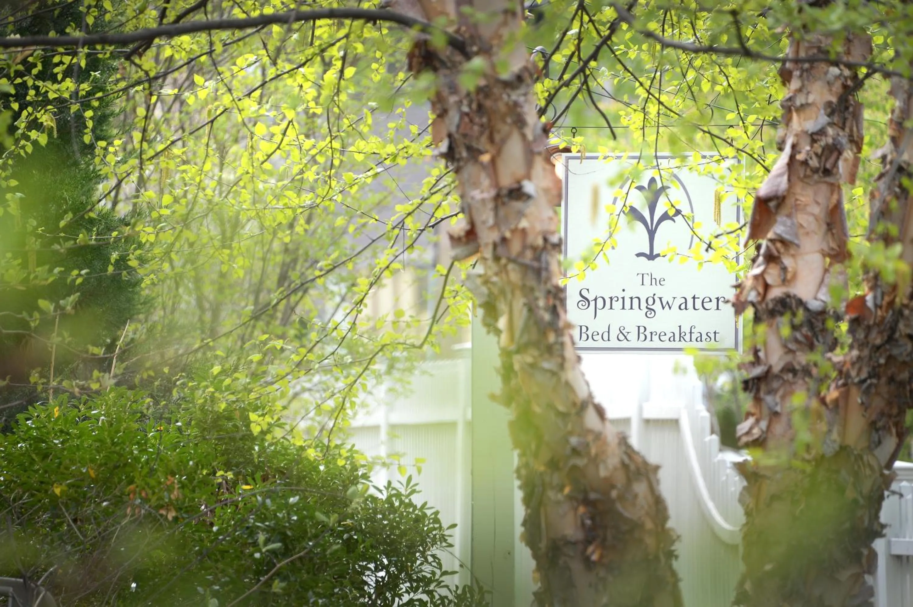 Property logo or sign in The Springwater Bed and Breakfast