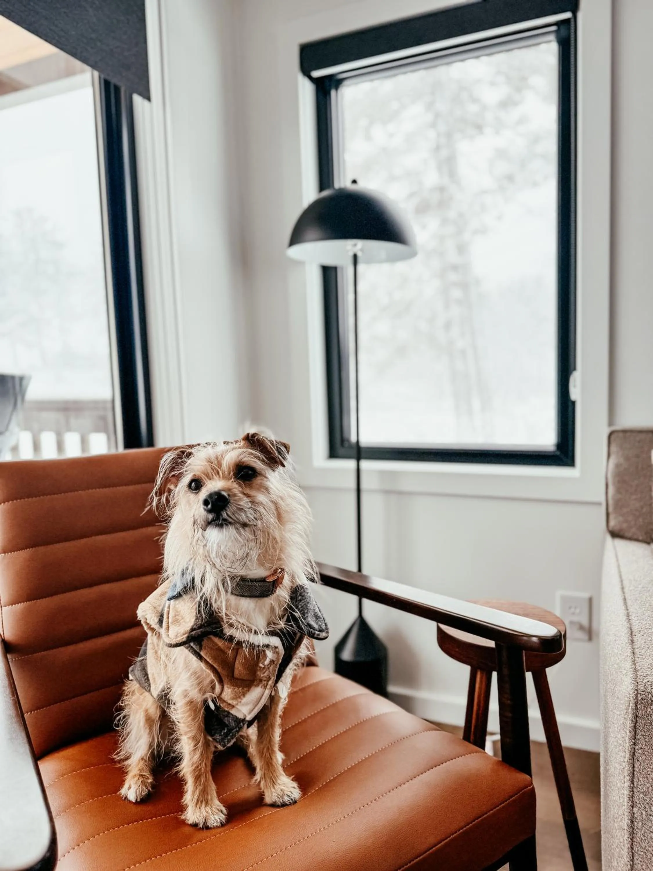 Living room in Pine Mountain Resort