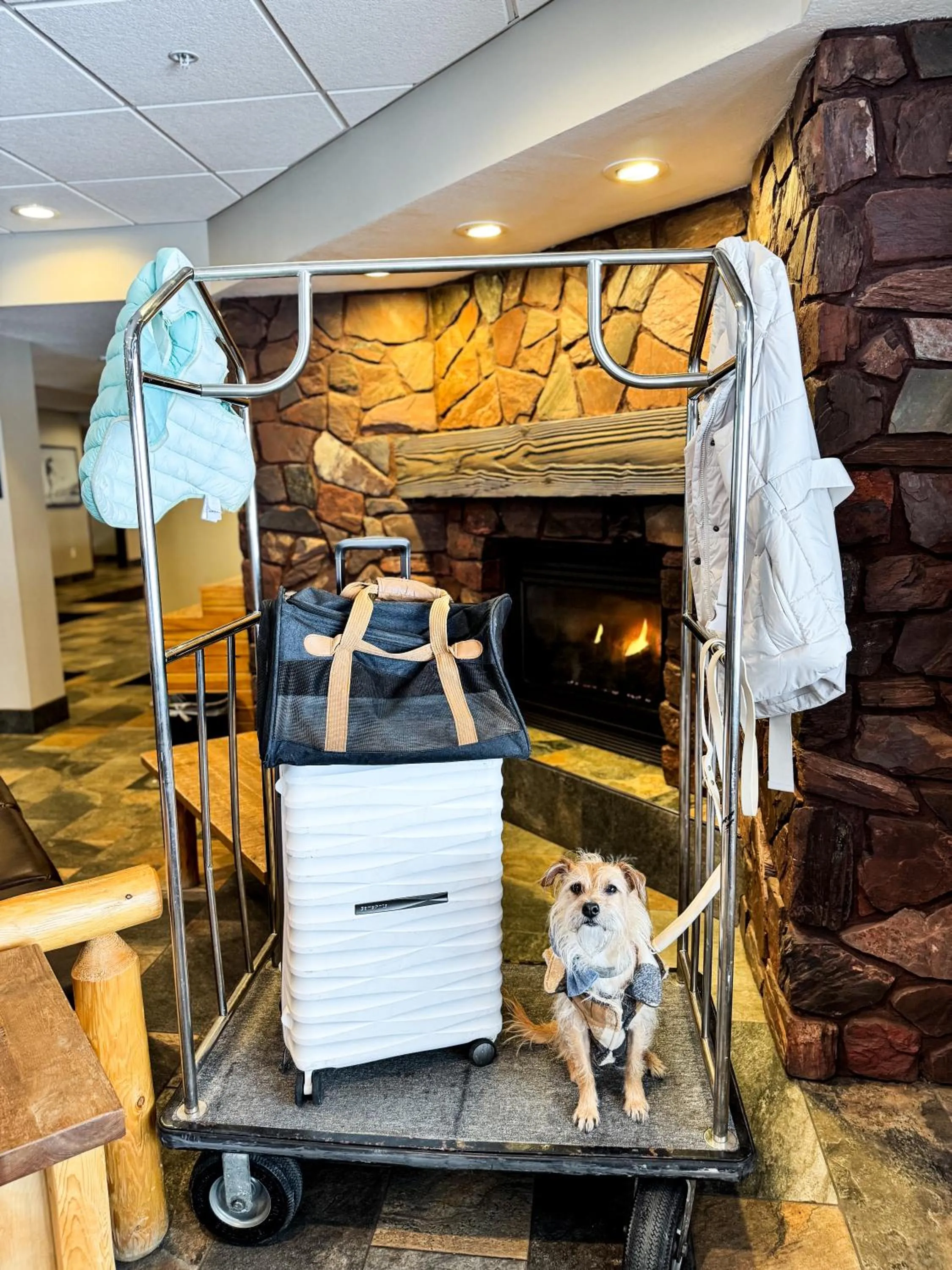 pet friendly in Pine Mountain Resort