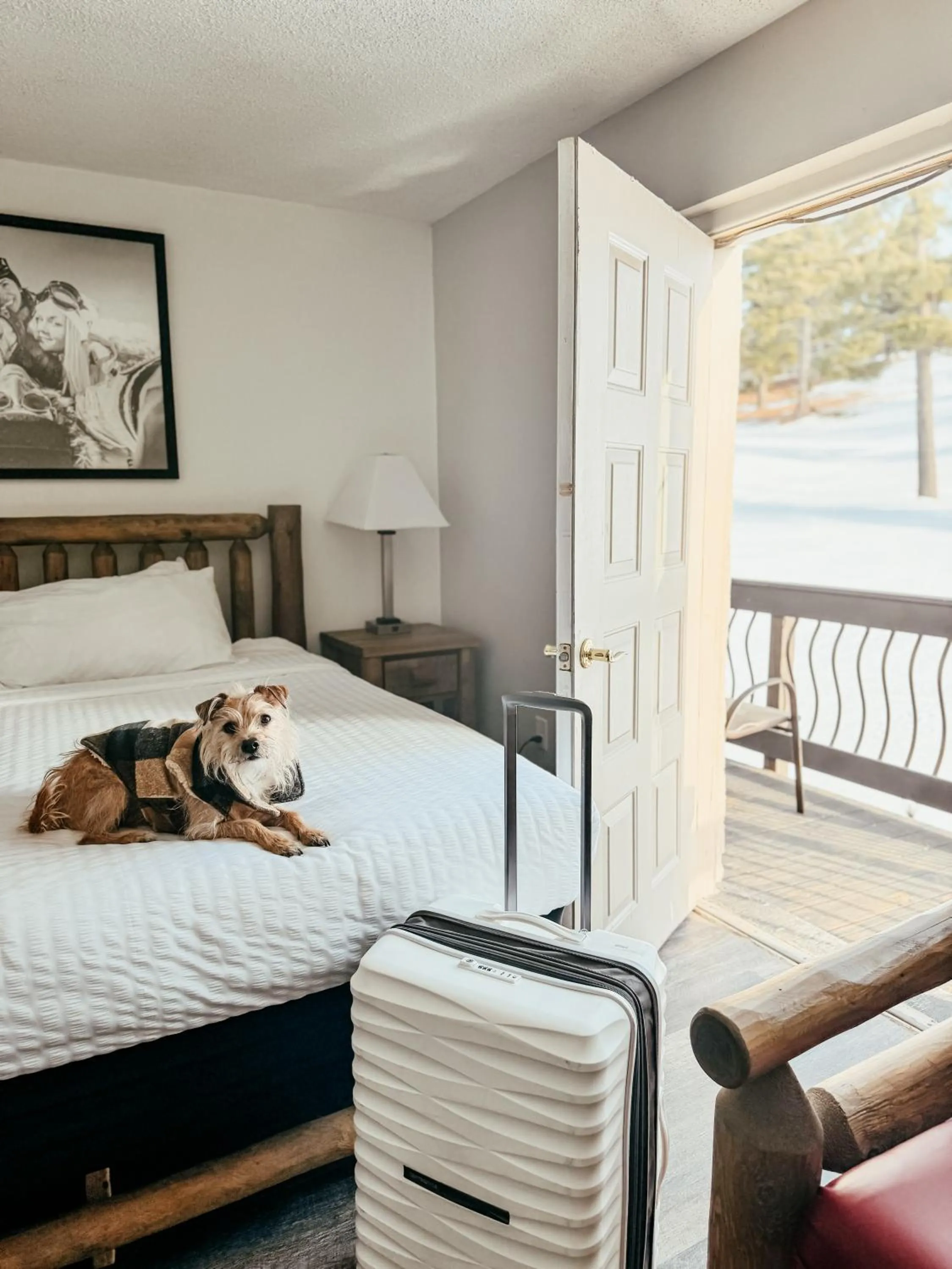 Bedroom, Bed in Pine Mountain Resort