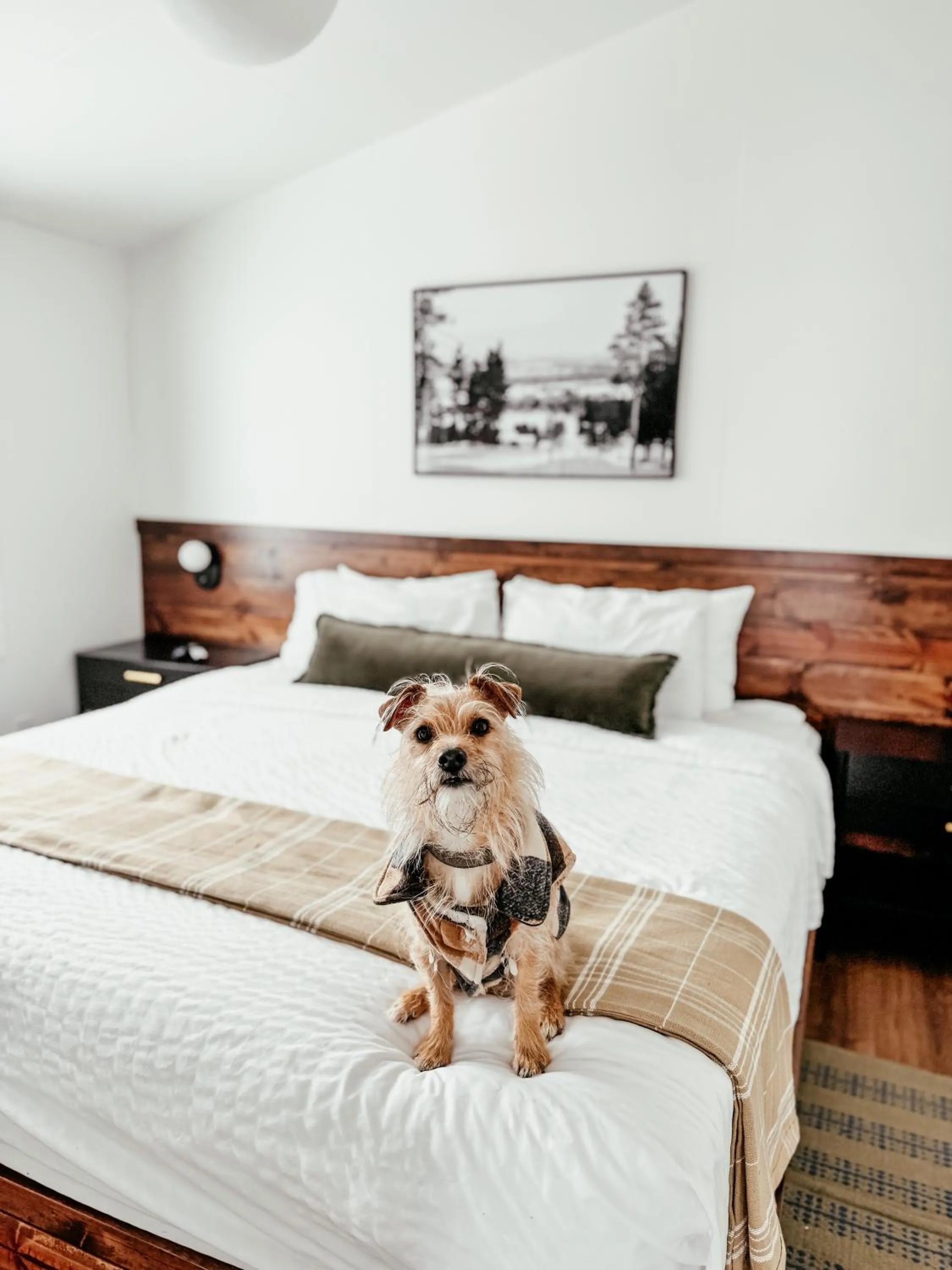 Bedroom, Bed in Pine Mountain Resort