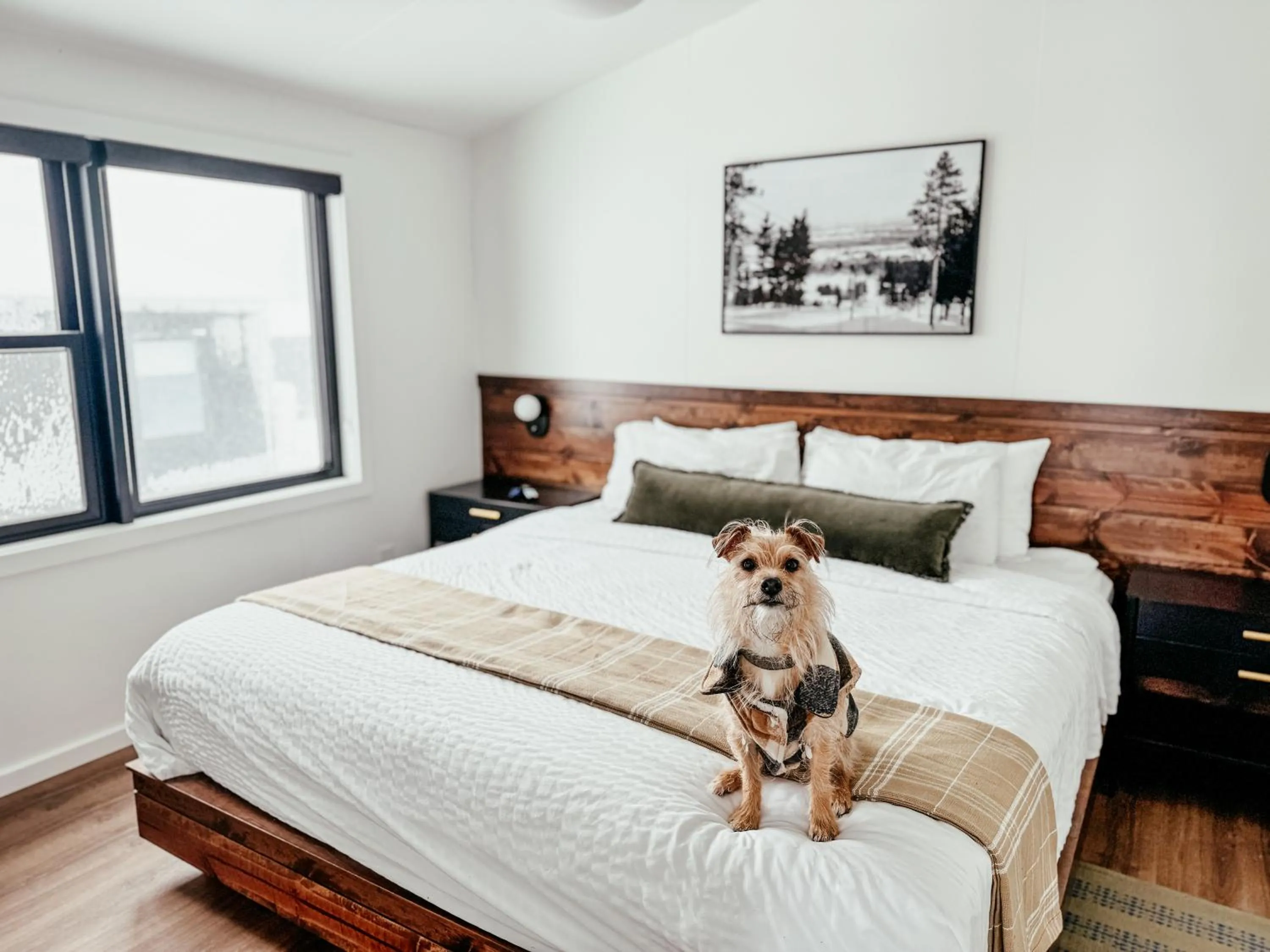 Bedroom, Bed in Pine Mountain Resort