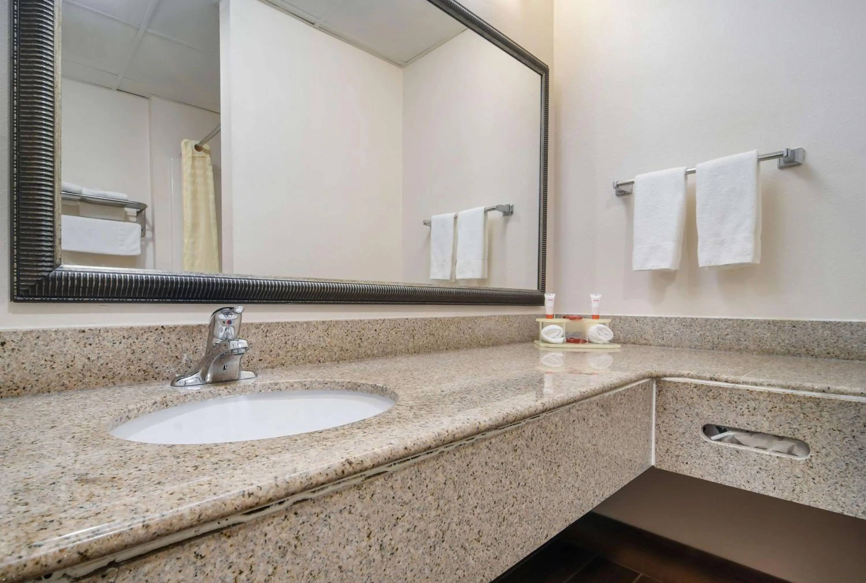 Bathroom in SureStay Plus Hotel by Best Western Tarboro
