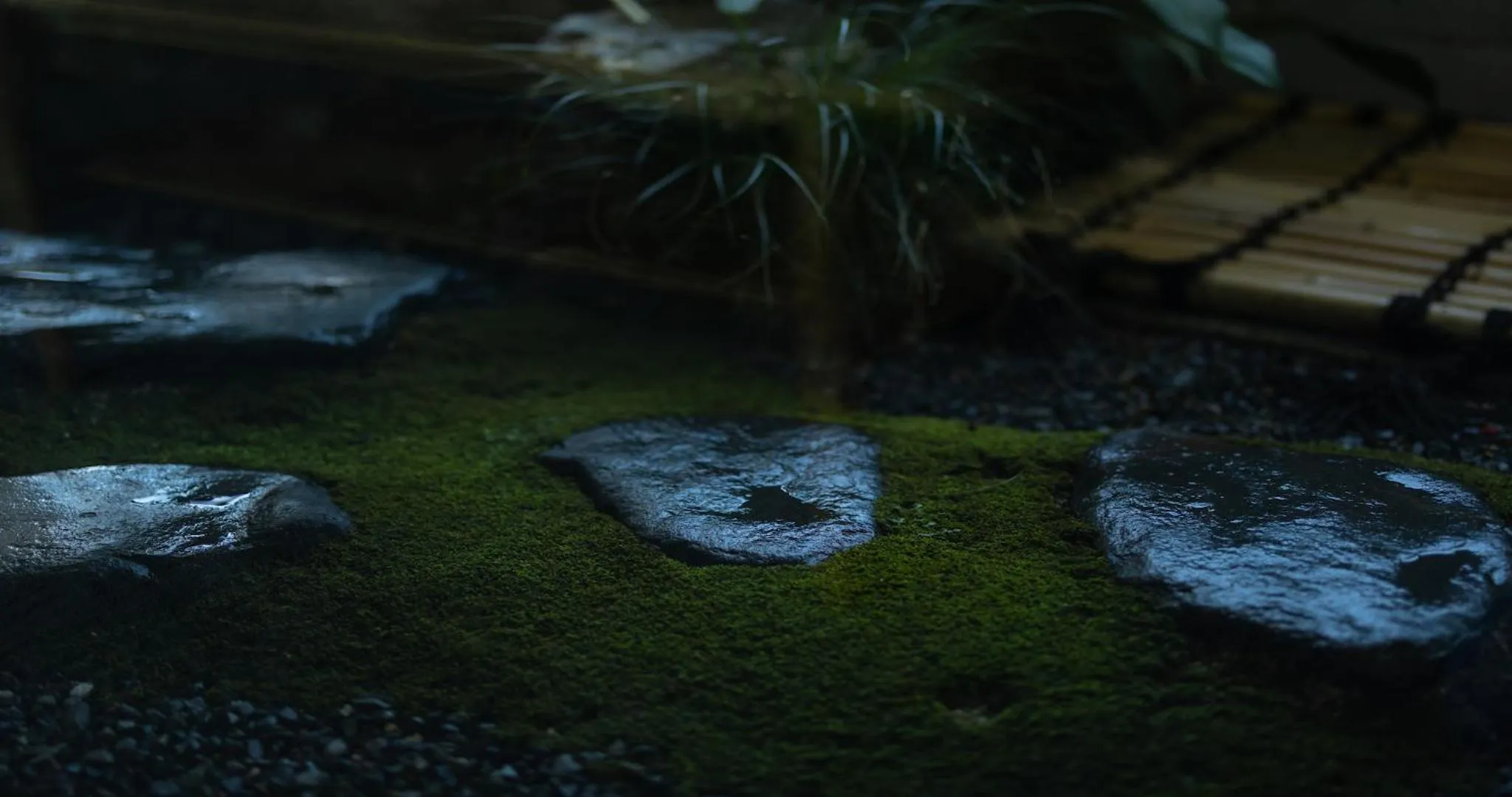 Night in Higashiyama Shikikaboku