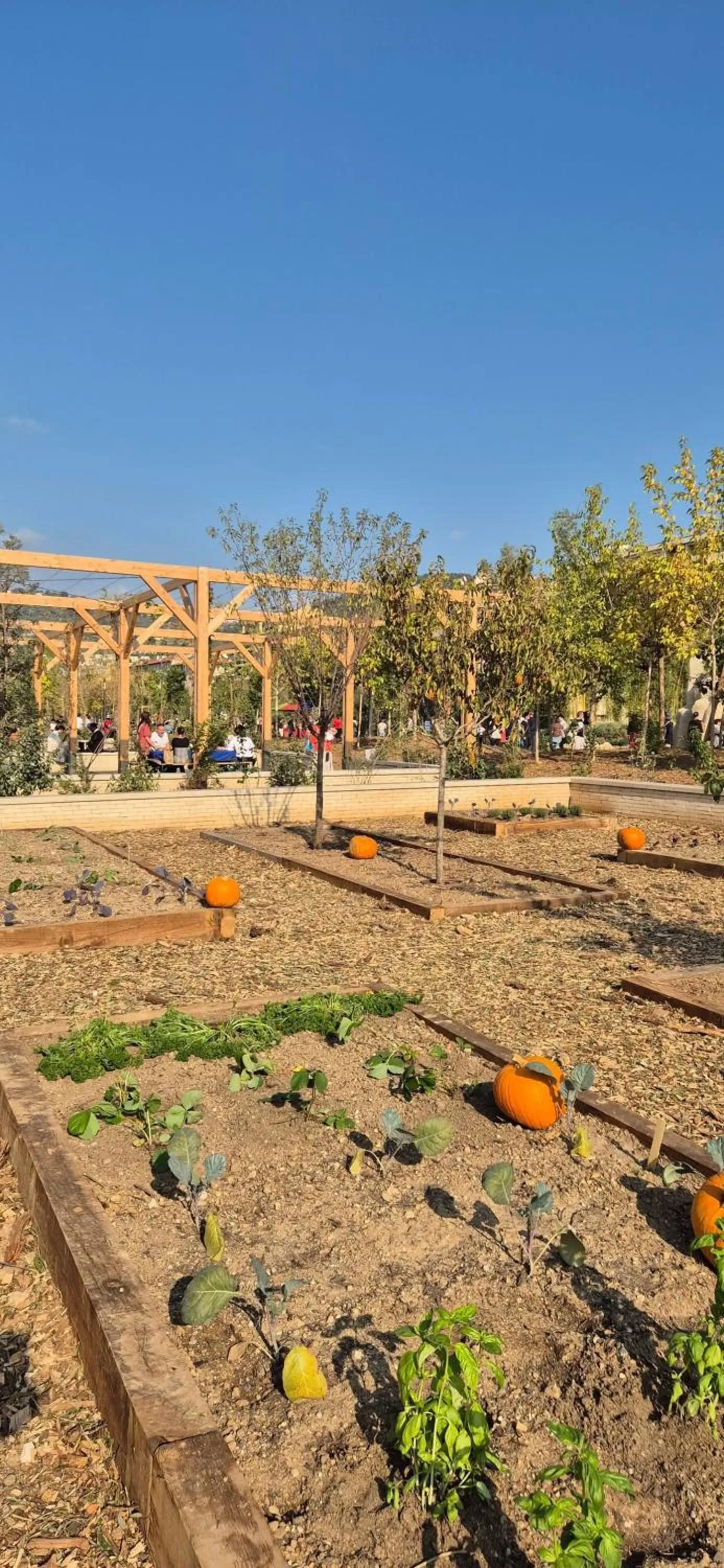 View (from property/room) in Aparthotel Adagio Access Nice Garibaldi