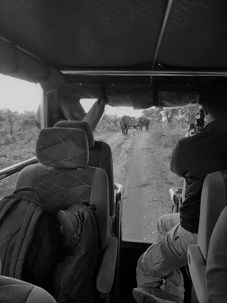 People in Elephant Lodge