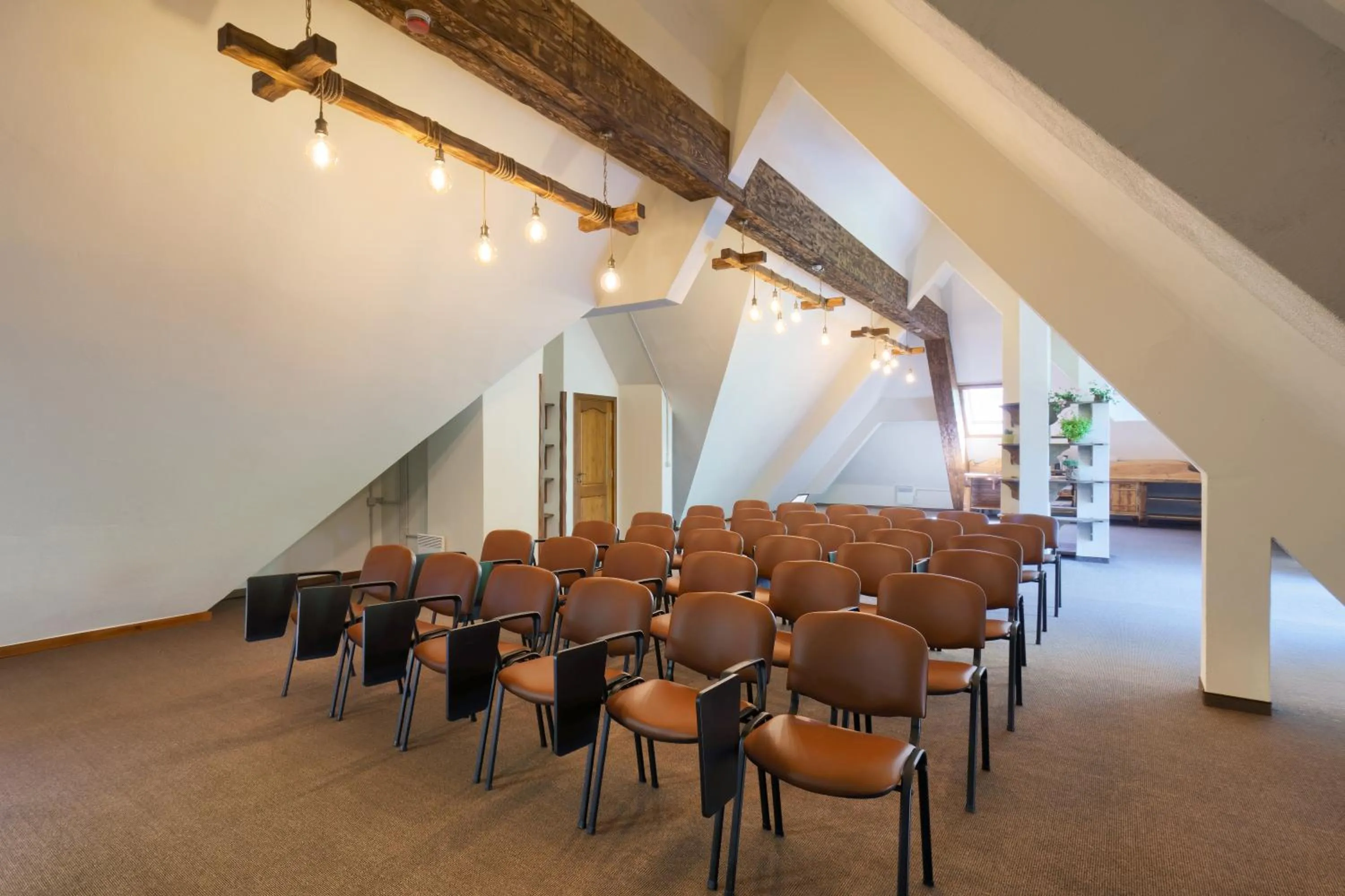 Business facilities in Hotel Apostolite