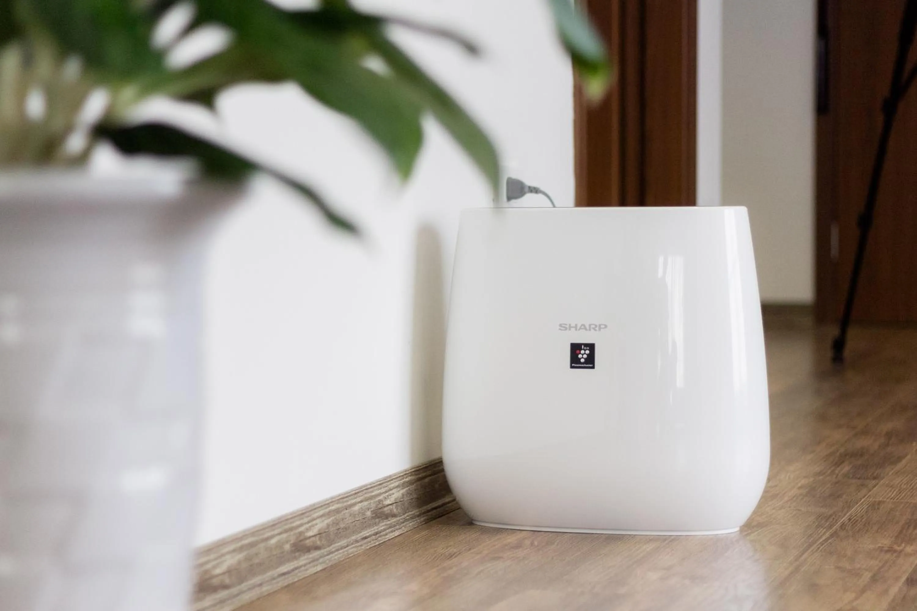 Other in REIWA INN APARTMENT