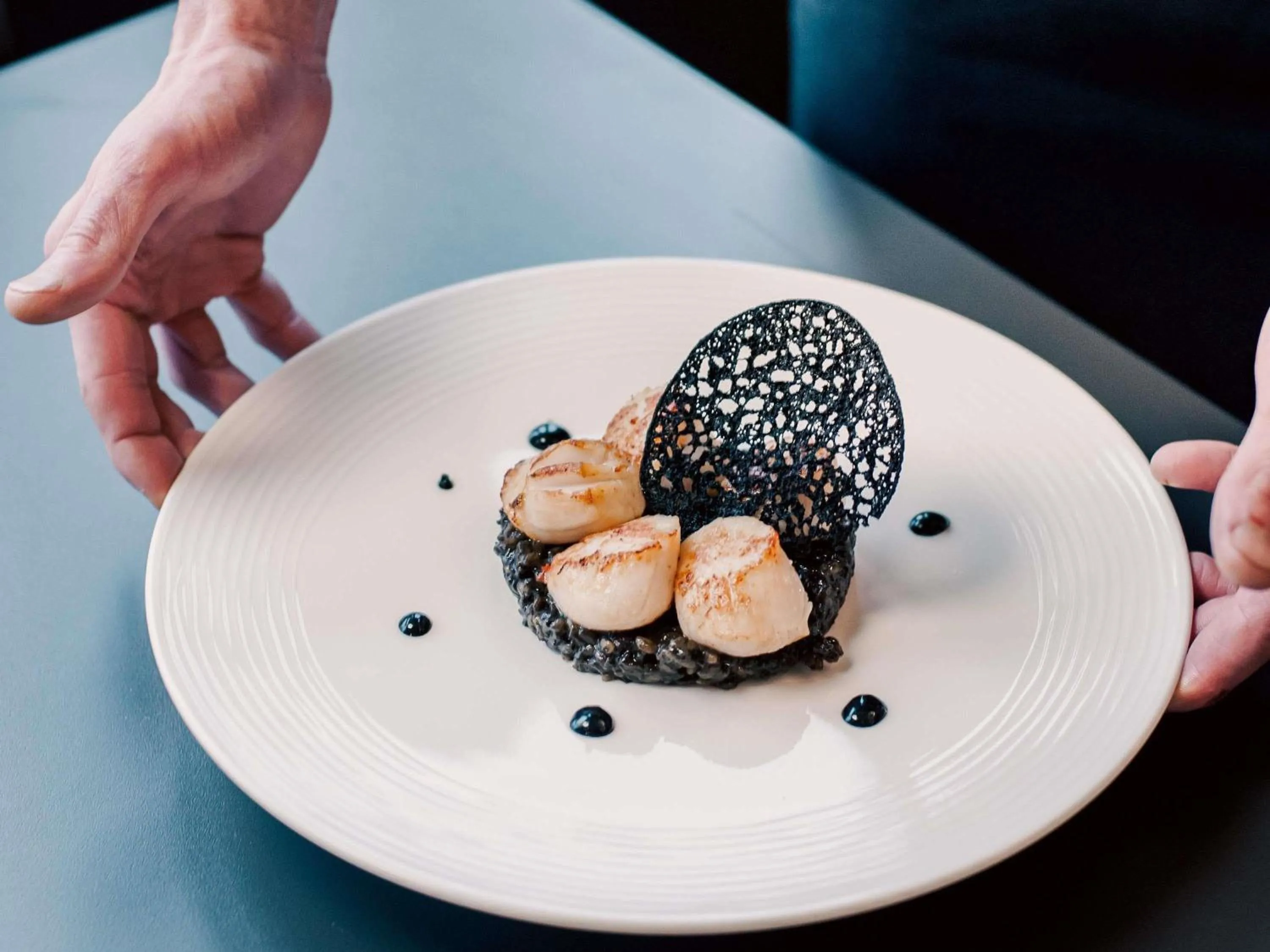 Property building in Tribe Carcassonne