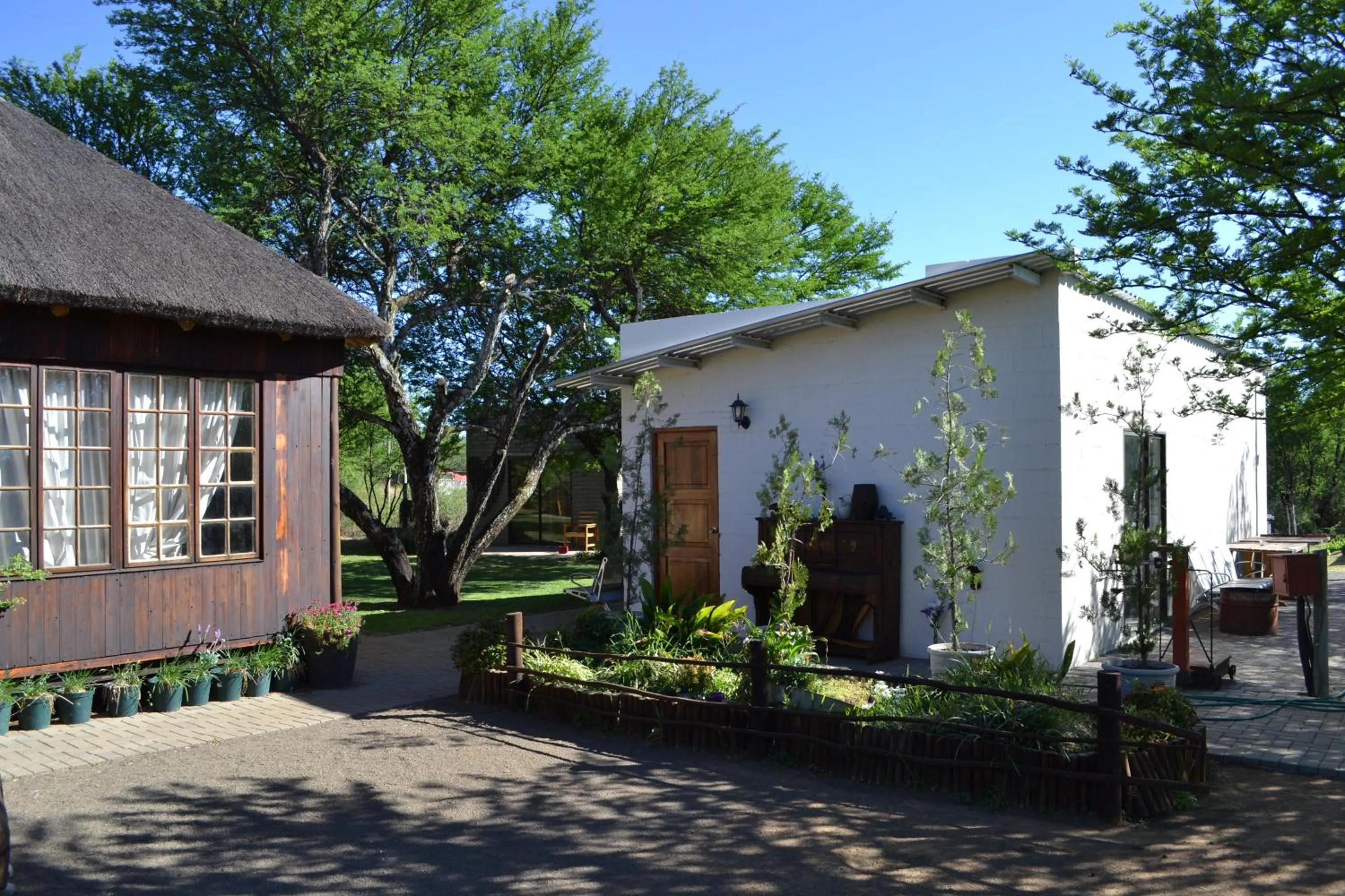 Garden view in Thorn Tree Bloemfontein