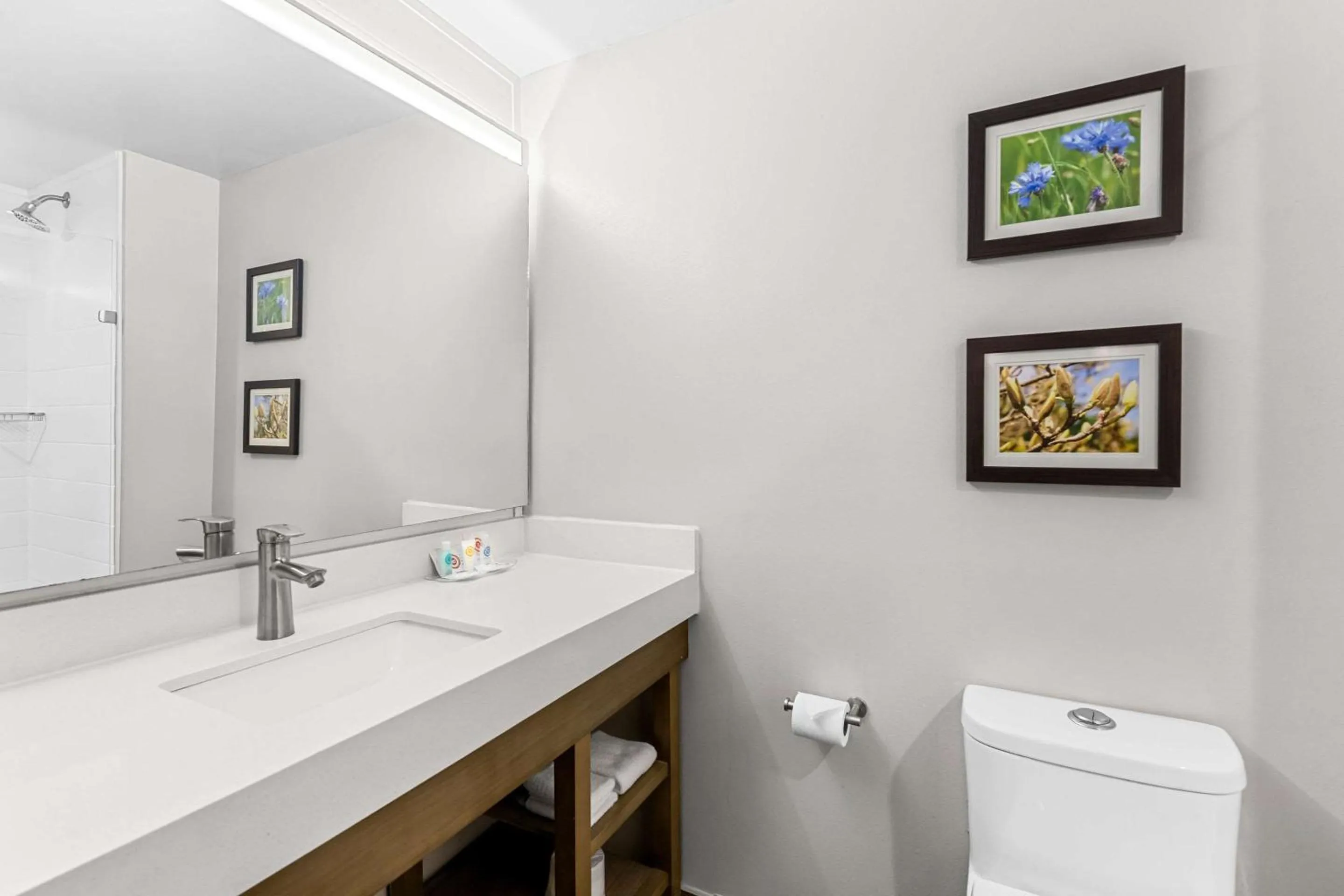 Bedroom in Comfort Suites Columbia I-65