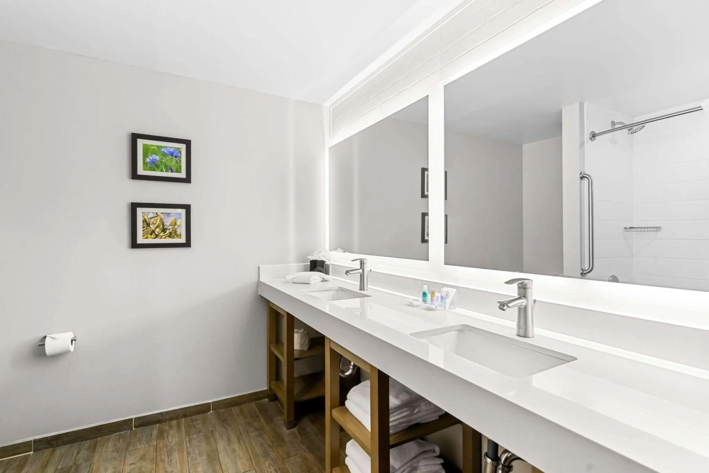 Bedroom in Comfort Suites Columbia I-65