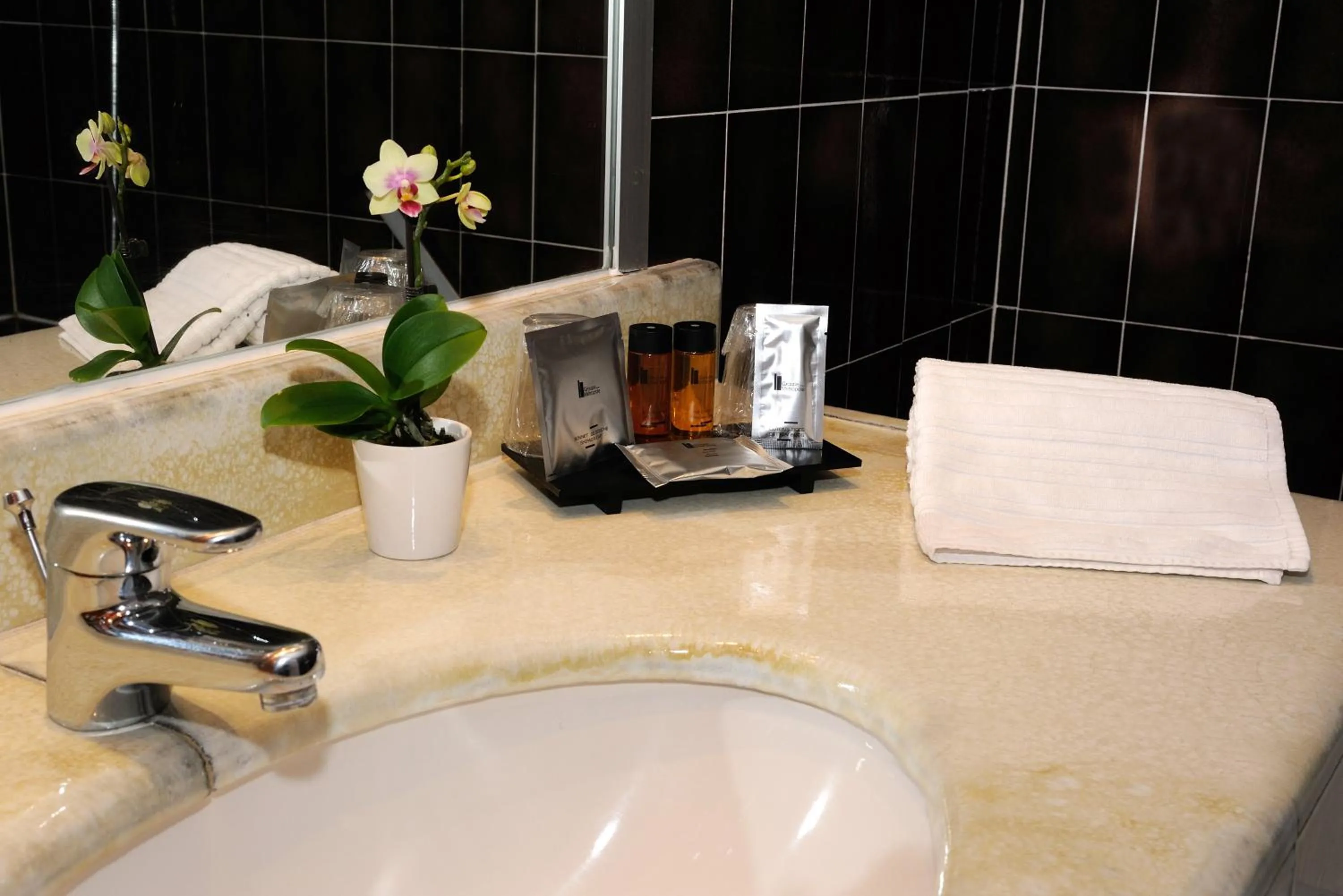 Bathroom in Hotel des Congrès