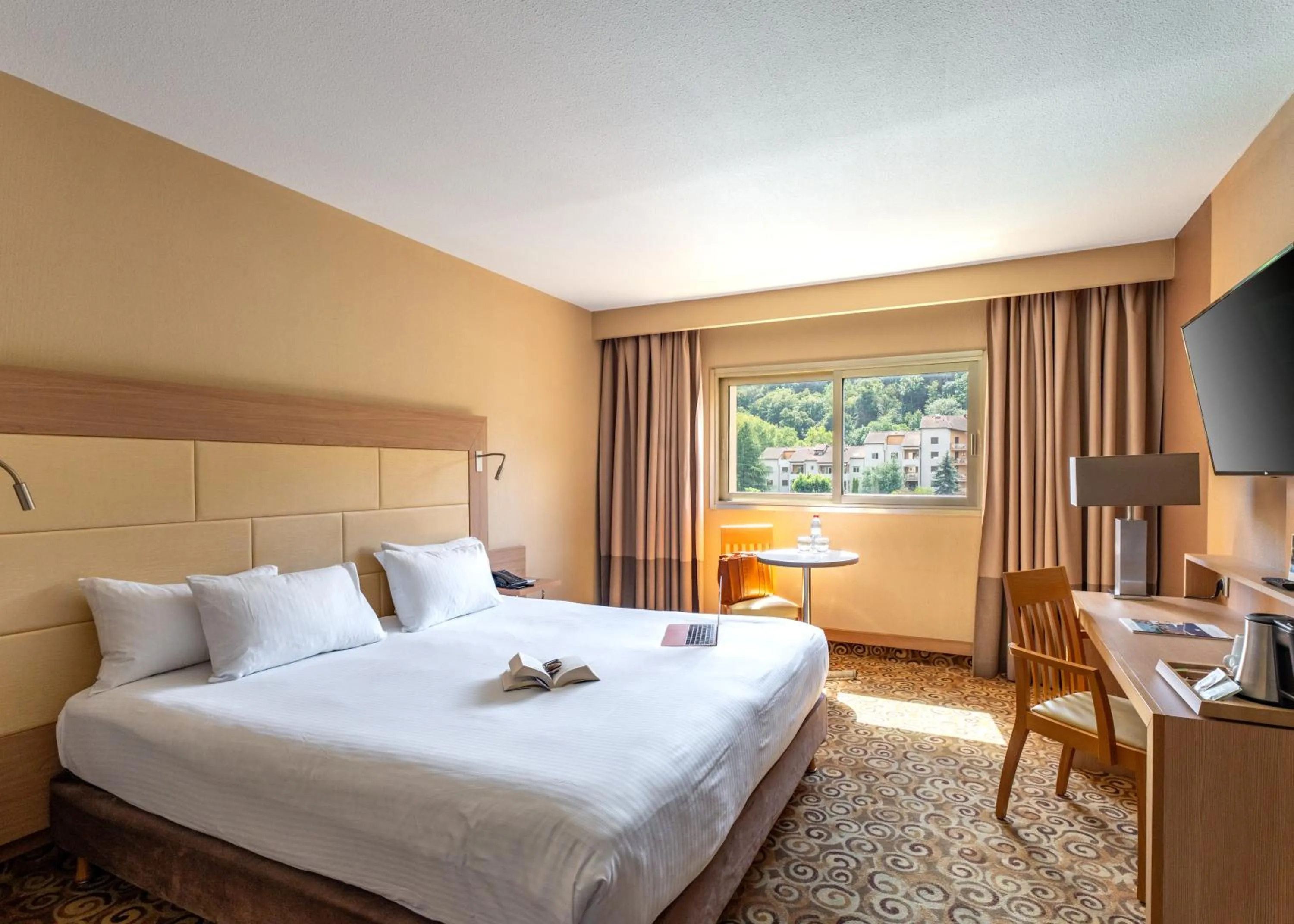 Comfort Double Room - Spa  and Pool Access Included in Hôtel Lyon Métropole & Spa