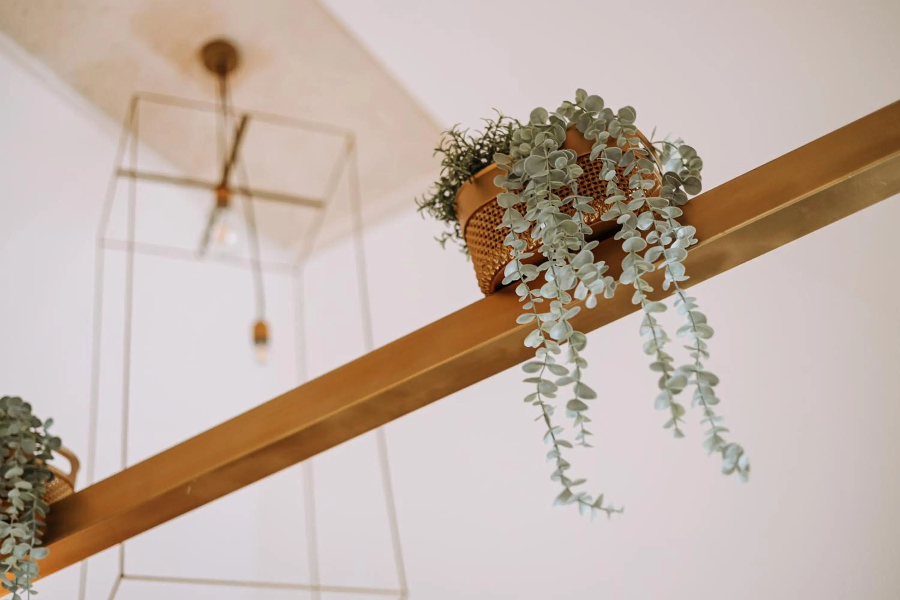 Suite1212 - Pirrelli