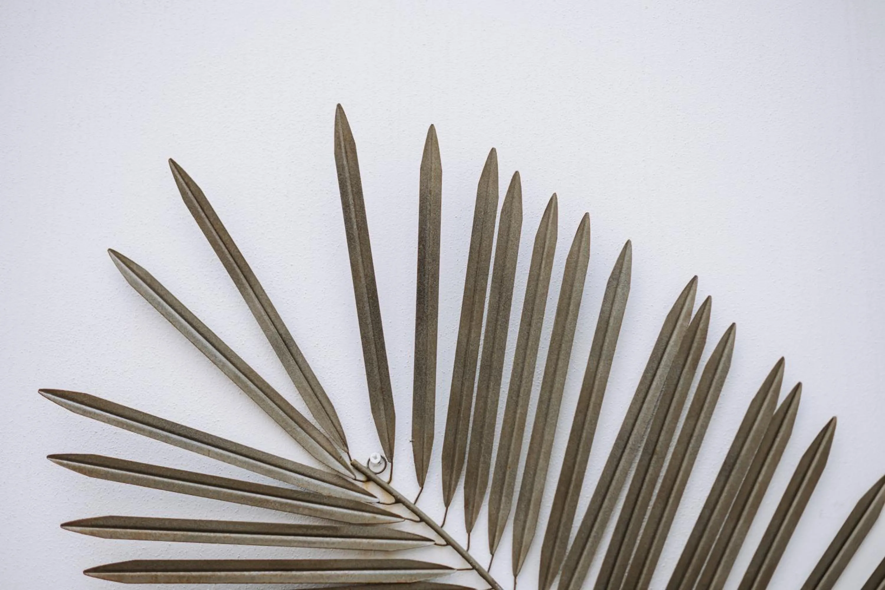 Suite1212 - Pirrelli