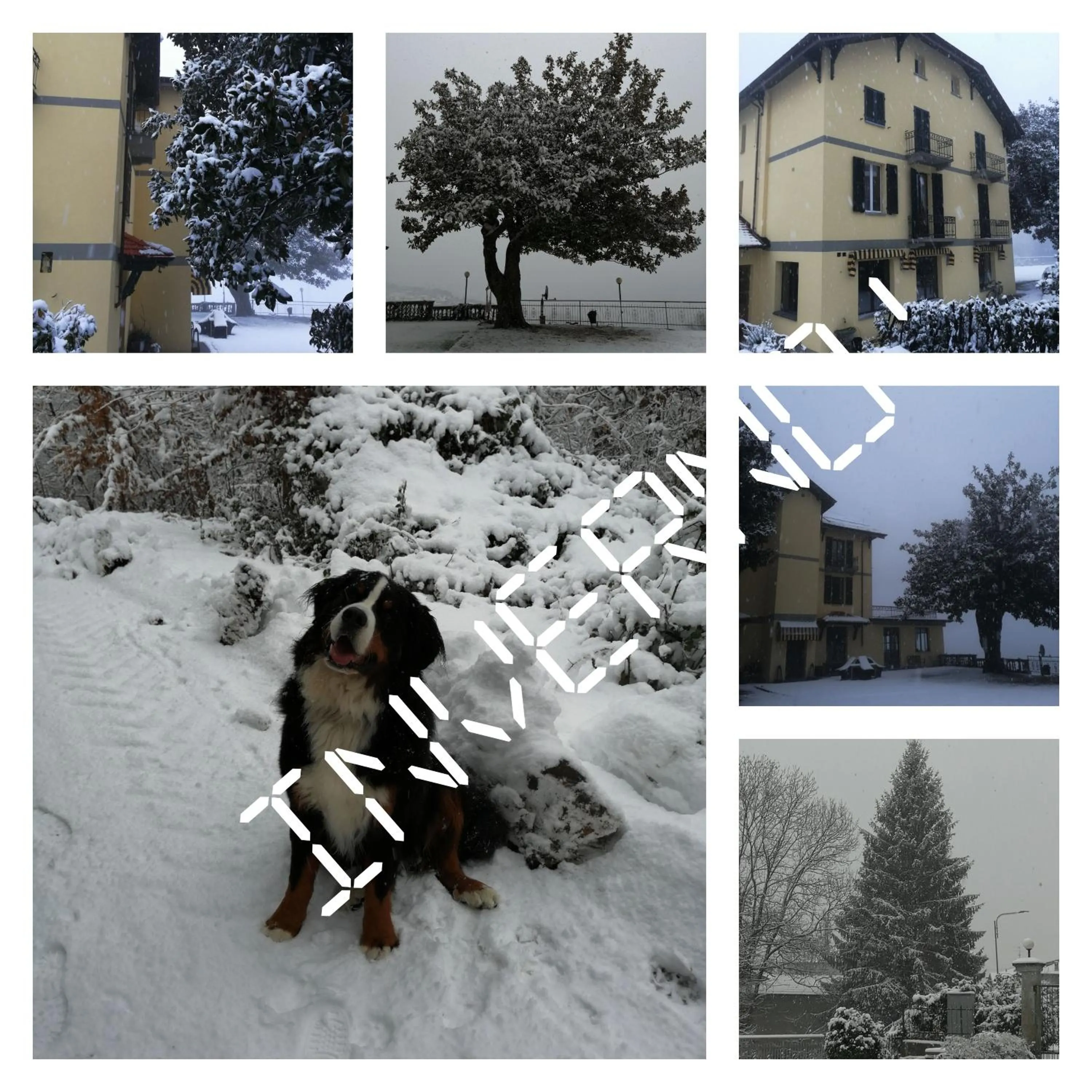 Villa Magnolia BB, Lago Maggiore (Massino Visconti, Italy)