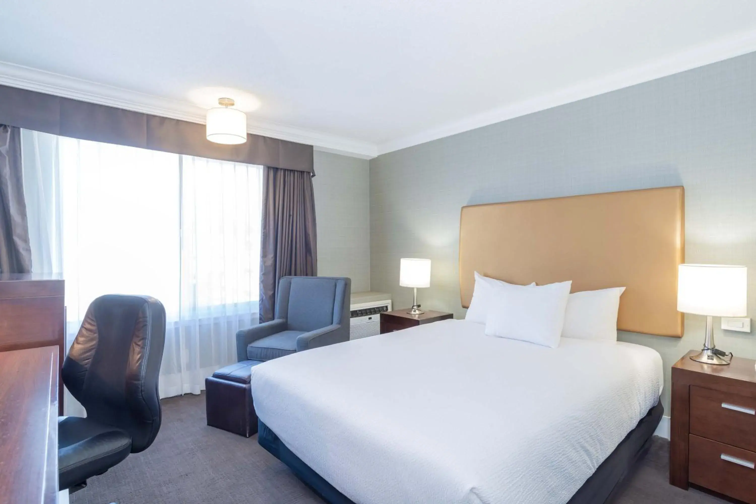 Standard Room, 1 Queen Bed in Sandman Hotel Vernon Standard Room, 1 Queen Bed in Sandman Hotel Vernon