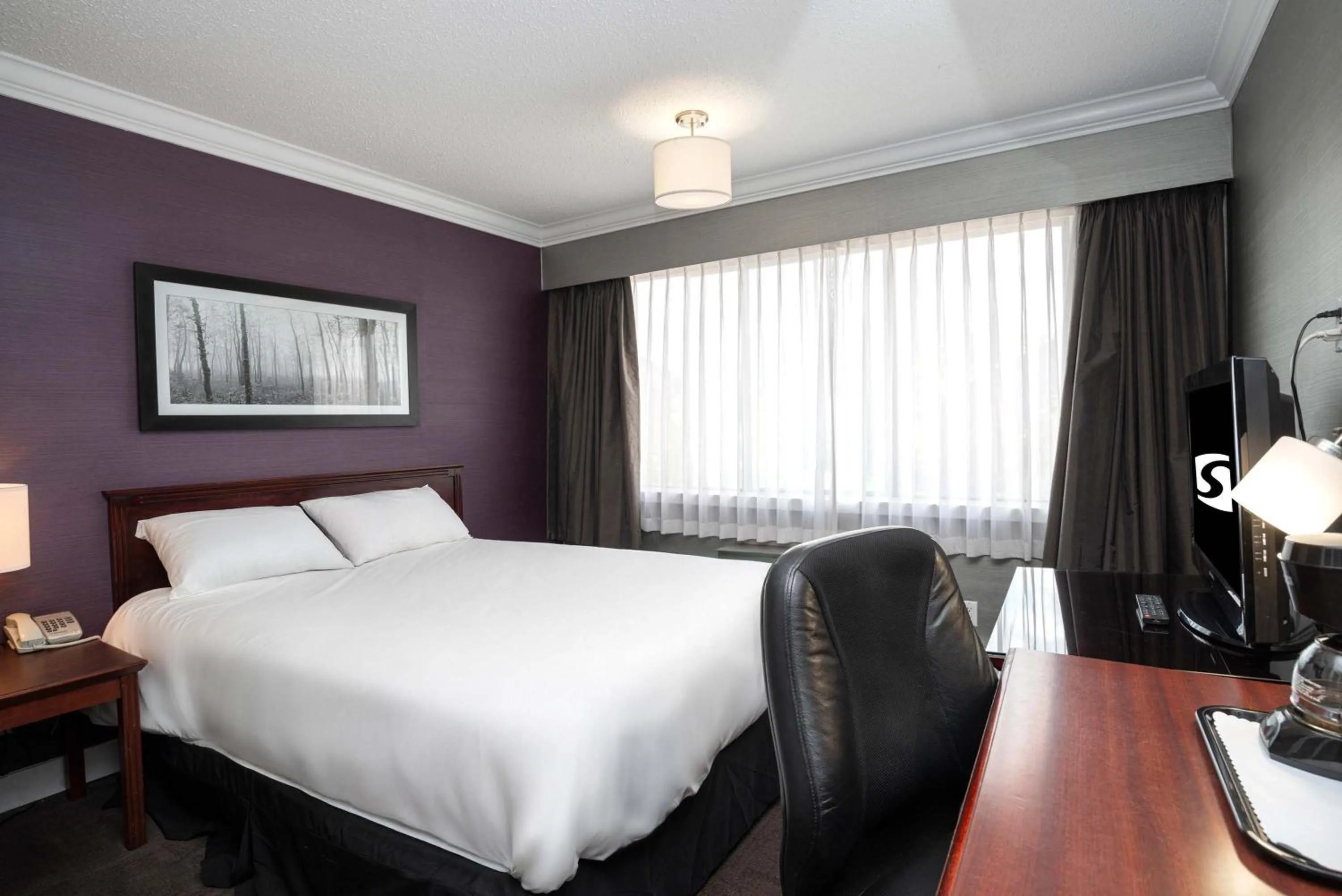 Photo of the whole room, Bed in Sandman Hotel & Suites Williams Lake