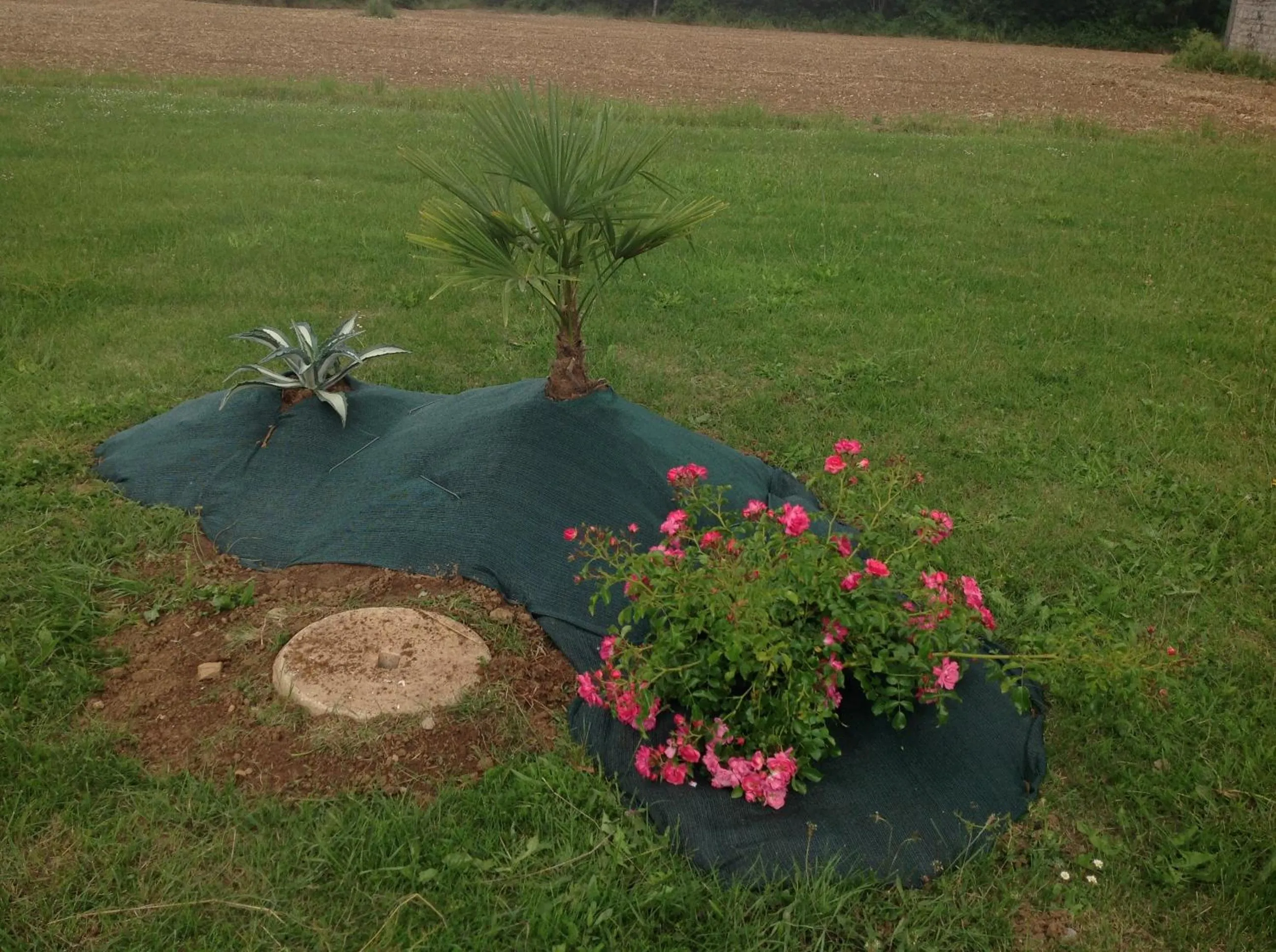 Garden in La ferme de Manon