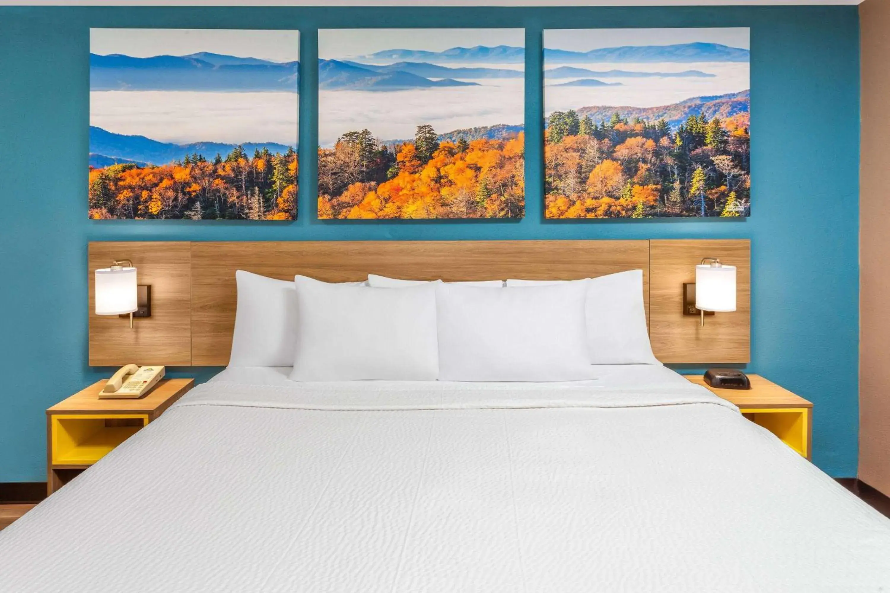 Standard King Room - Smoking in Days Inn by Wyndham Shelby Standard King Room - Smoking in Days Inn by Wyndham Shelby