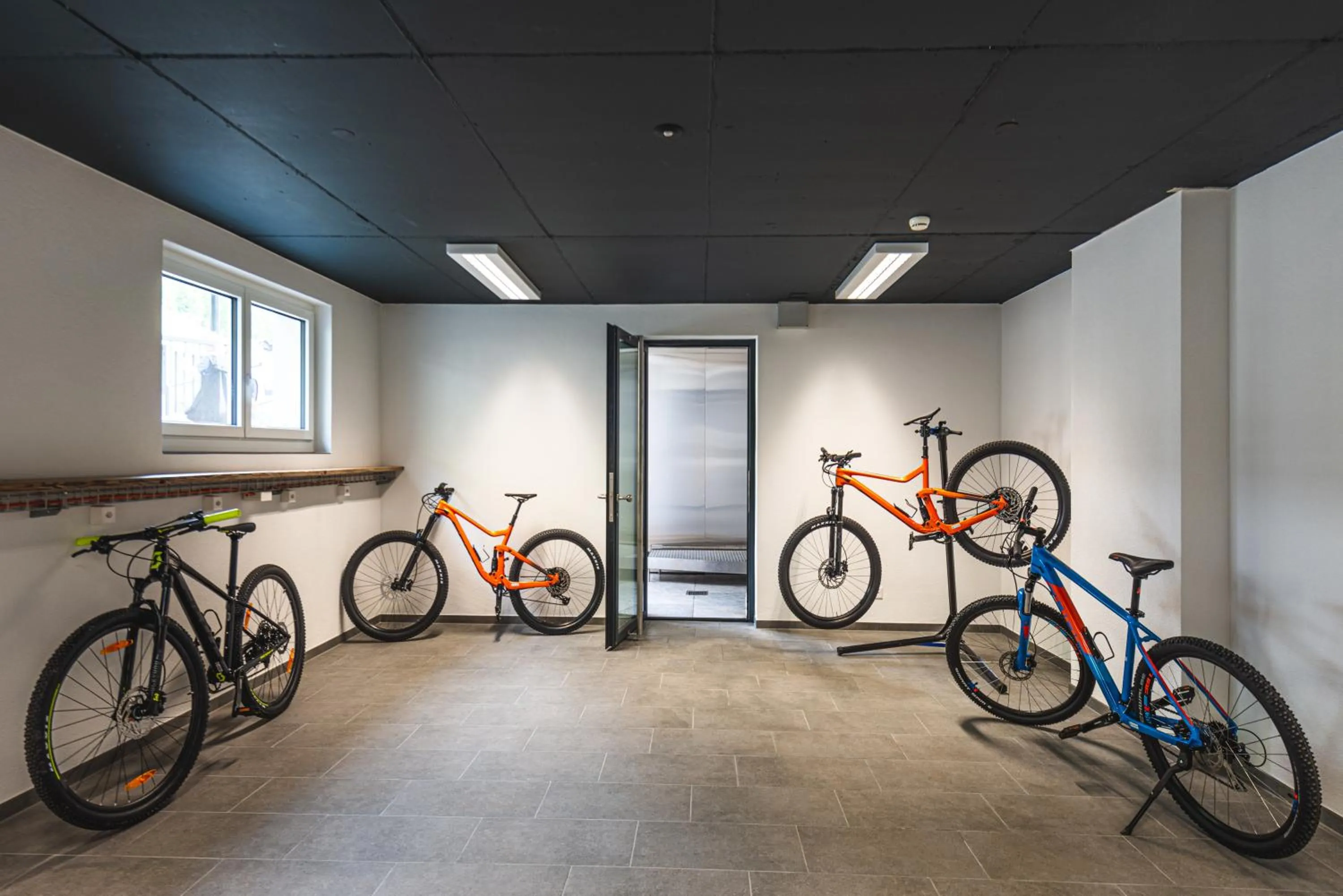 Activities in Naco Aparthotel by Arca Spa