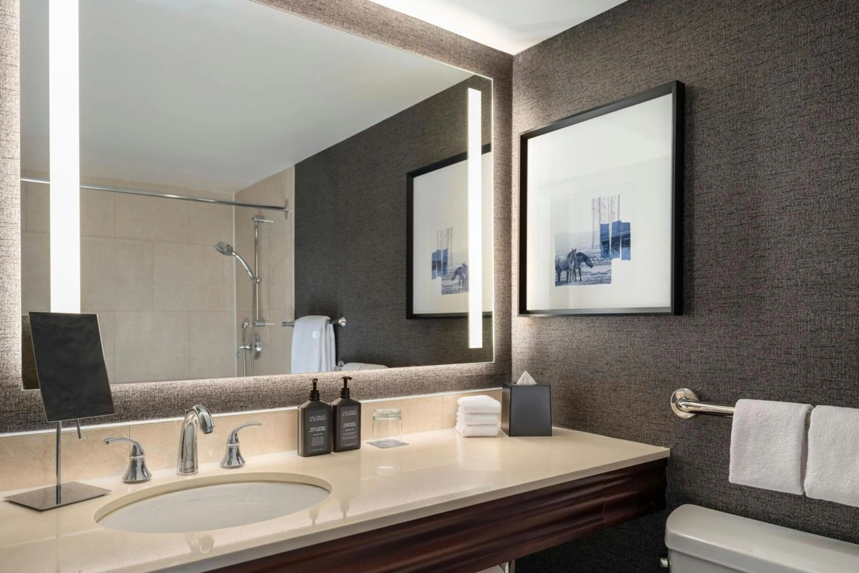 Bathroom in Sheraton Cavalier Calgary Hotel