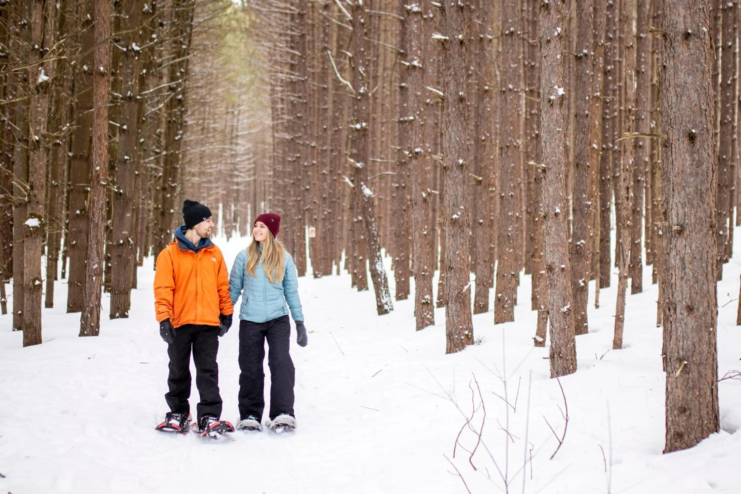 Winter in Sherwood Inn